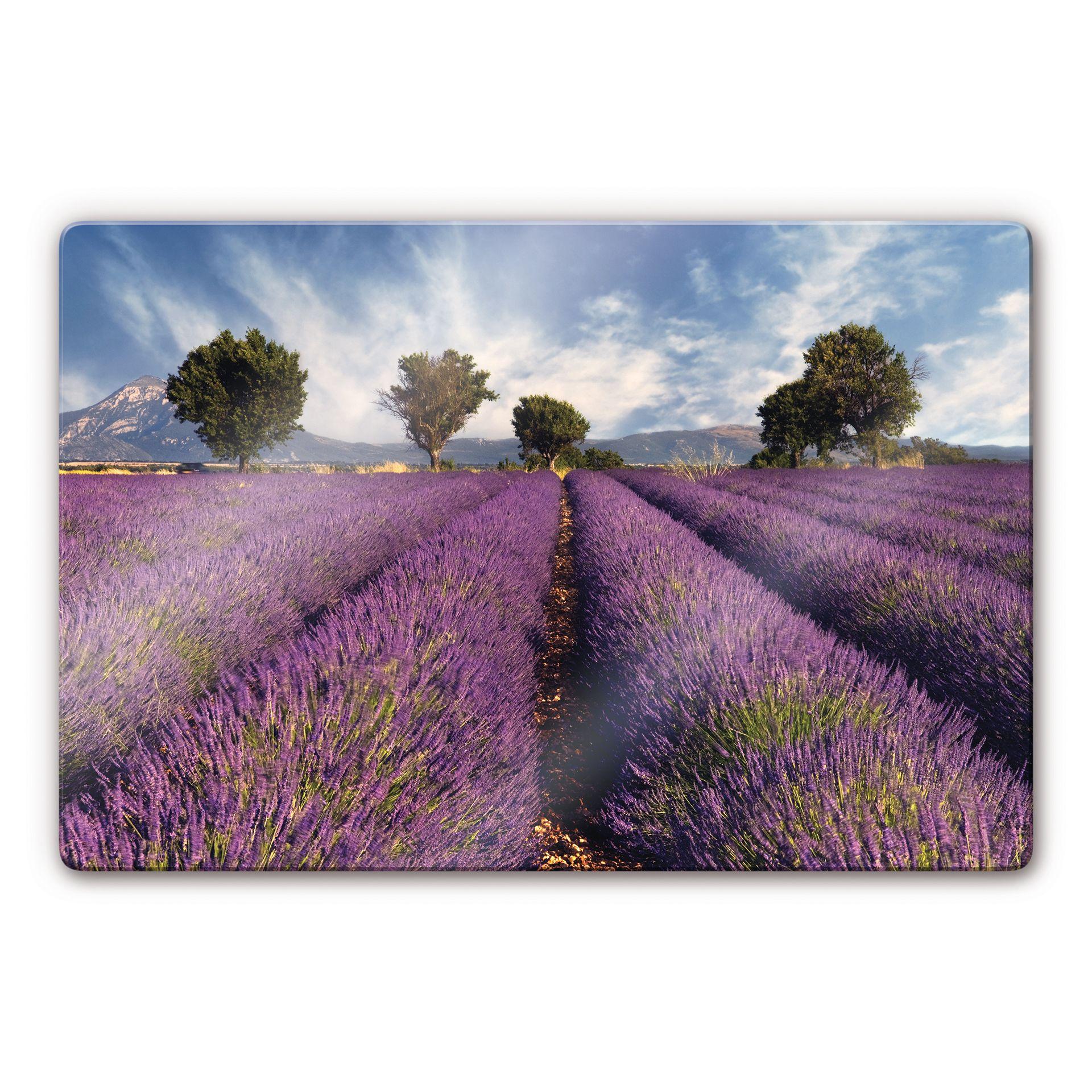 Stampa su vetro Campo di lavanda