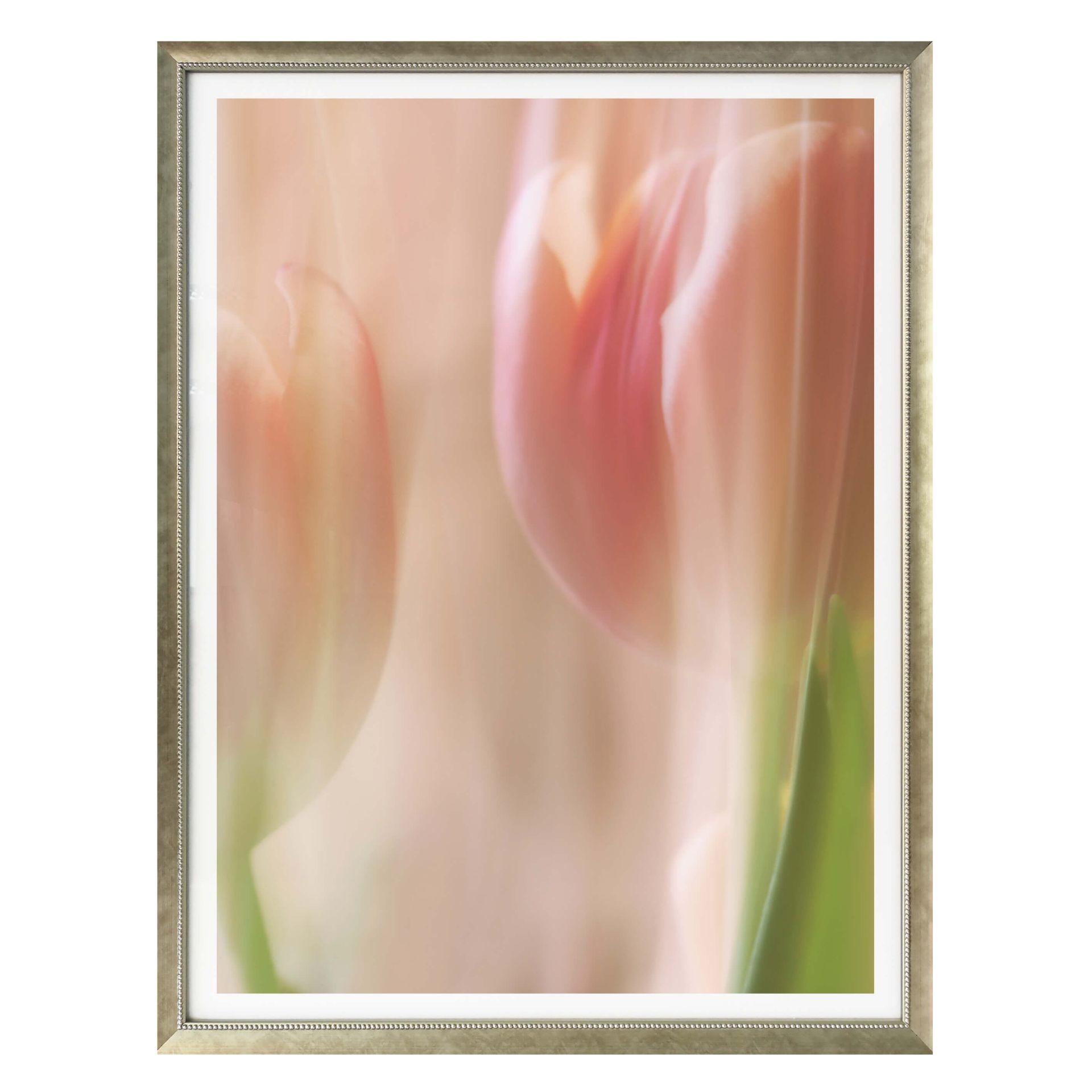 Plakat - Sky tulipaner
