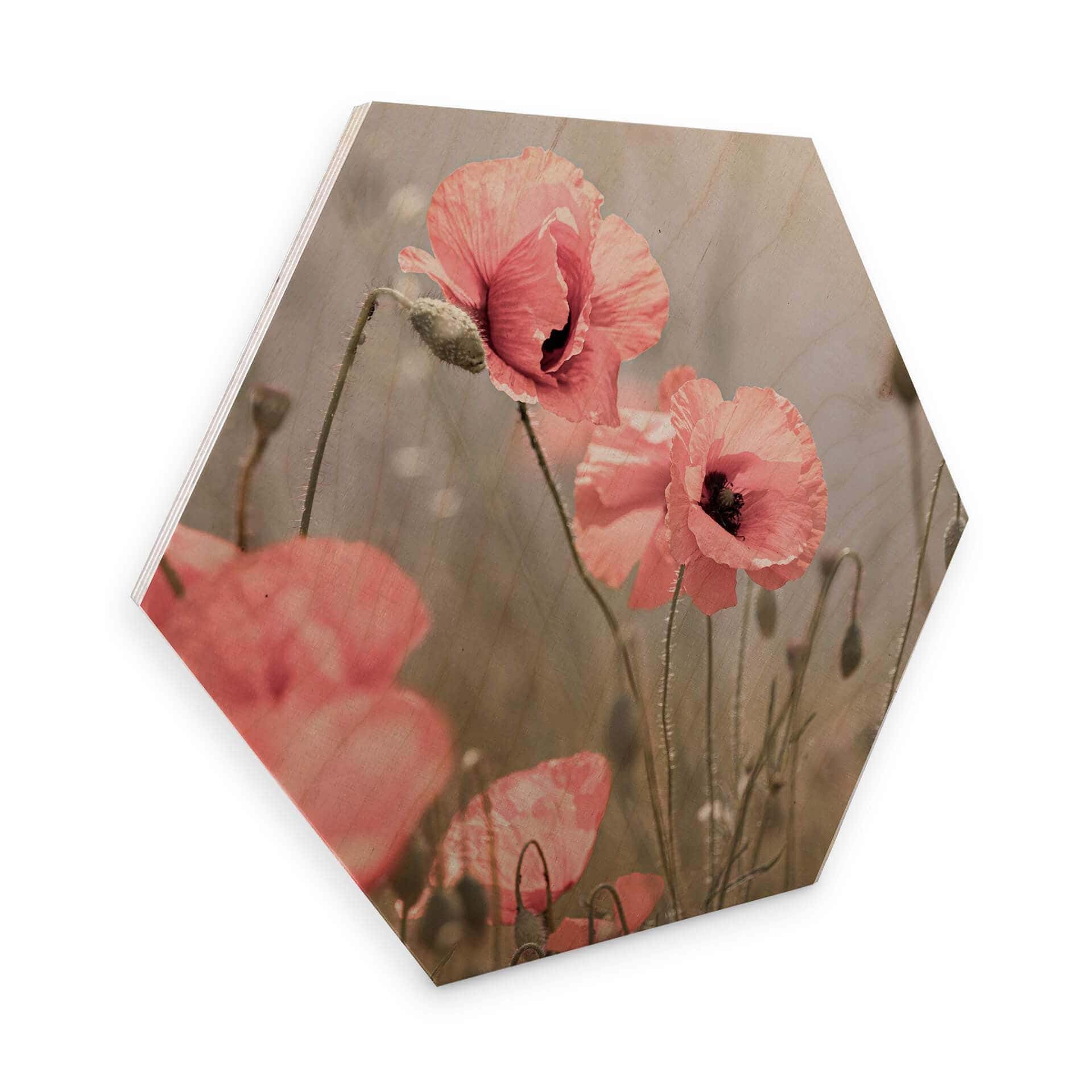 Hexagone - Placage bois de bouleau Delgado - Fleur de coquelicot romantique