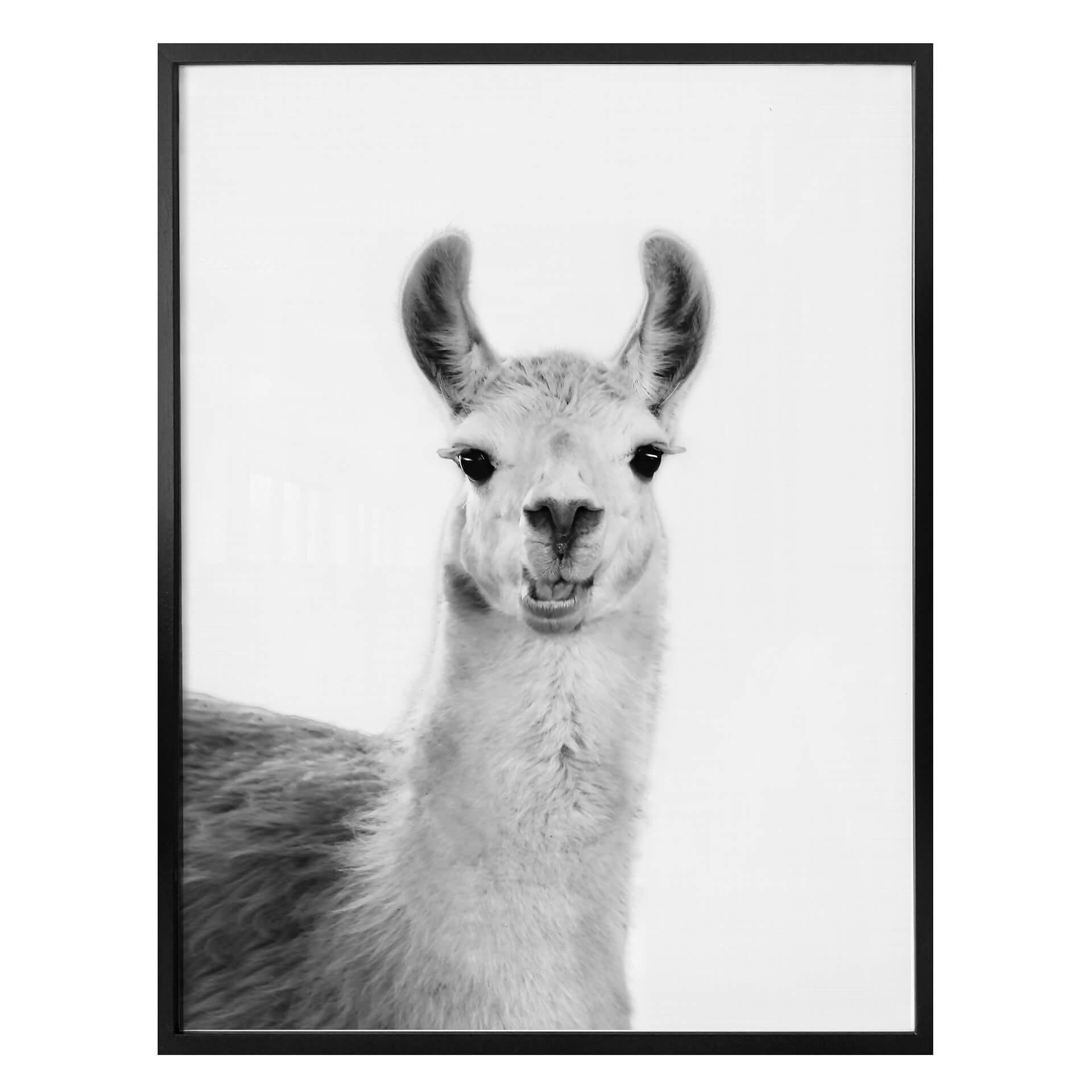 Póster Sisi & Seb - Happy Lama