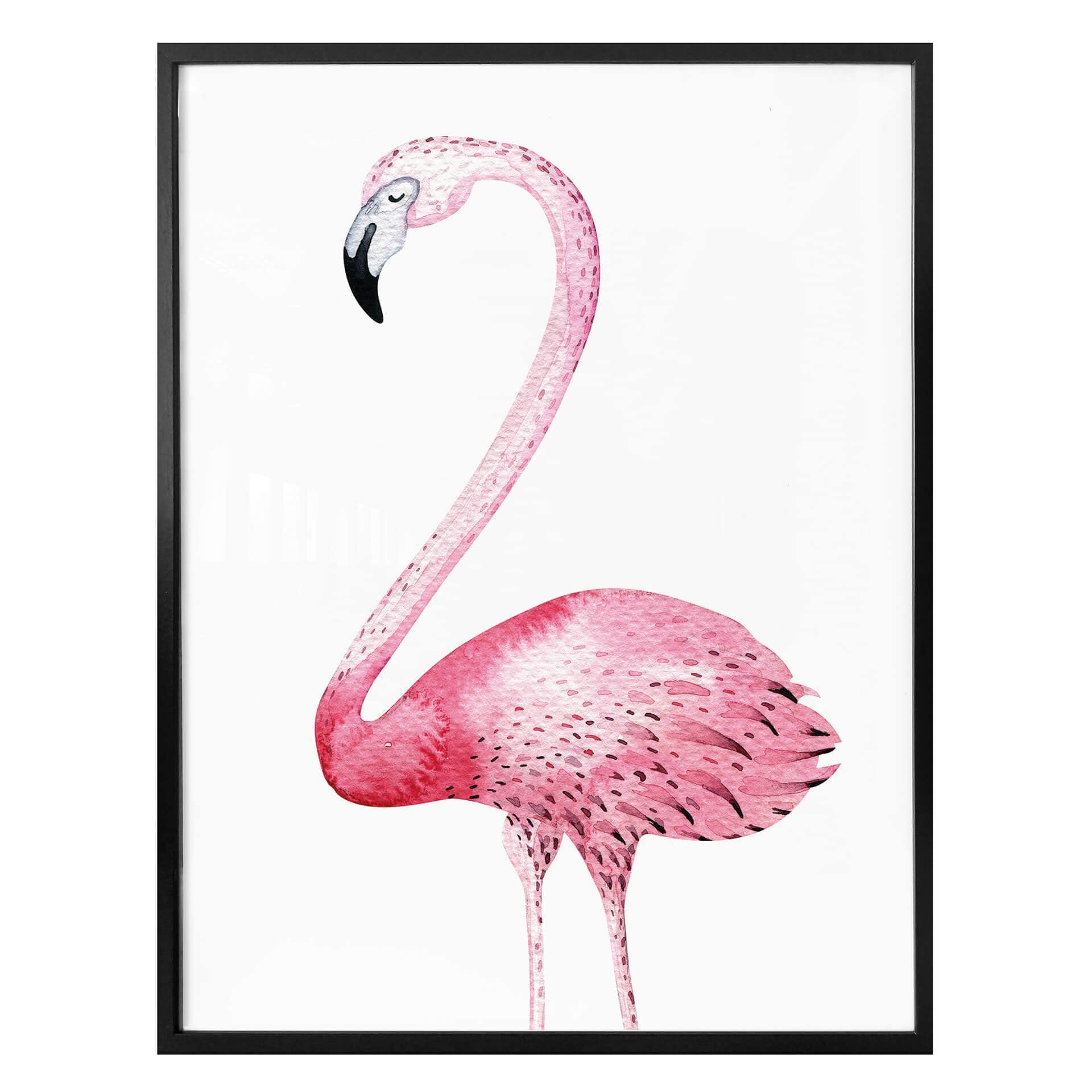 Affiche Kvilis - Flamant rose 01