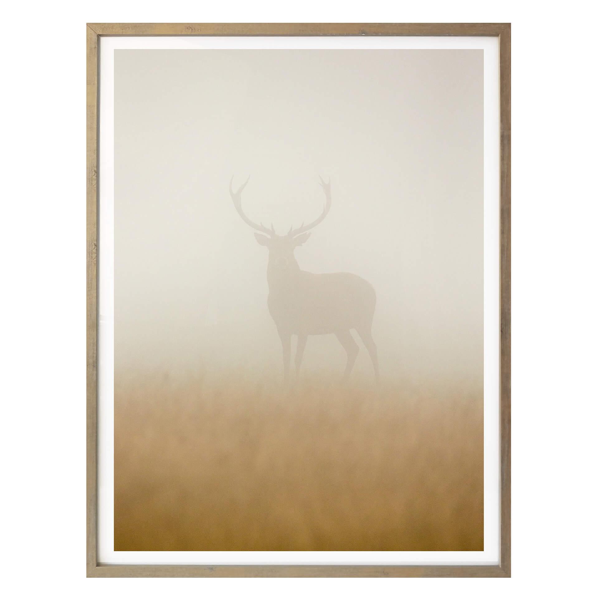 Póster Harling - Ciervo en la niebla