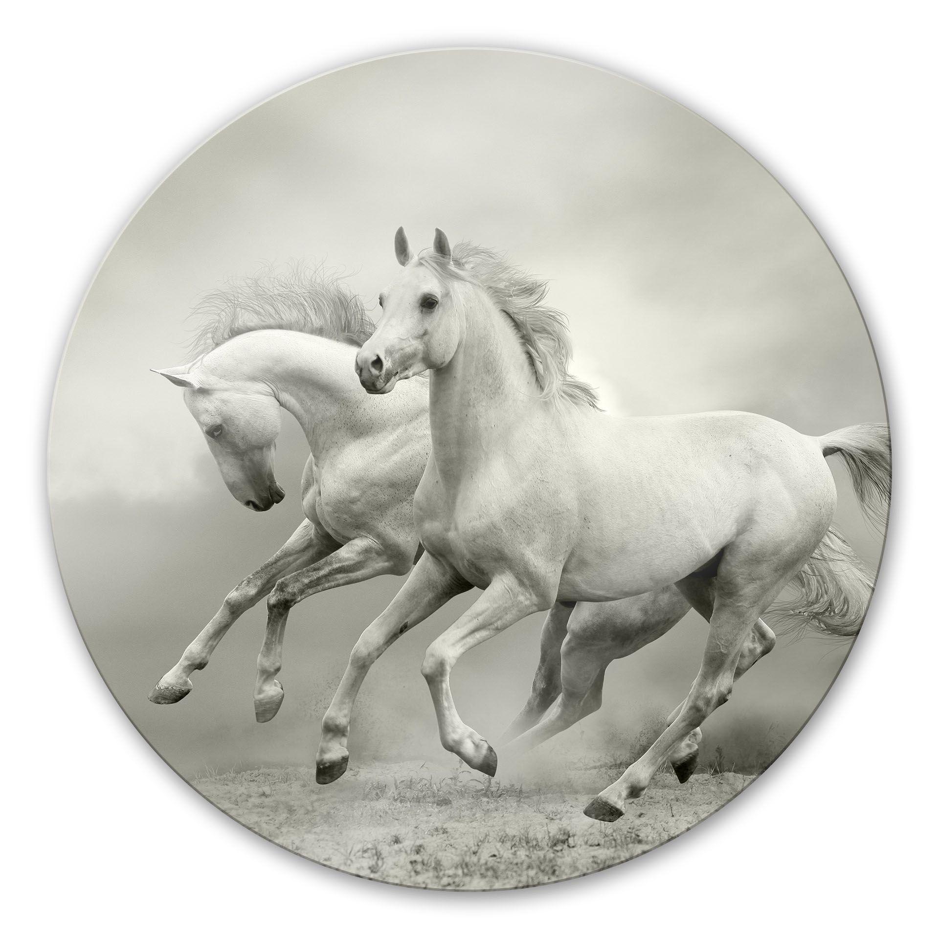 Tableau en verre - Chevaux au galop - rond