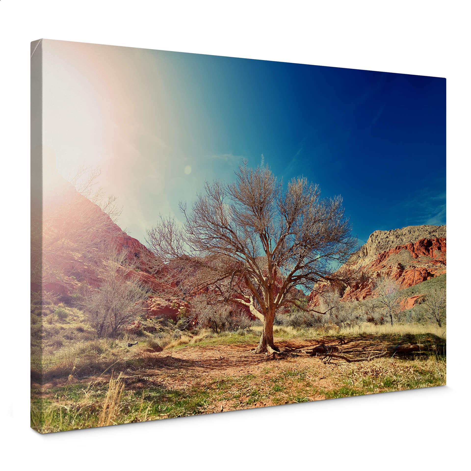 Lienzo árbol del desierto