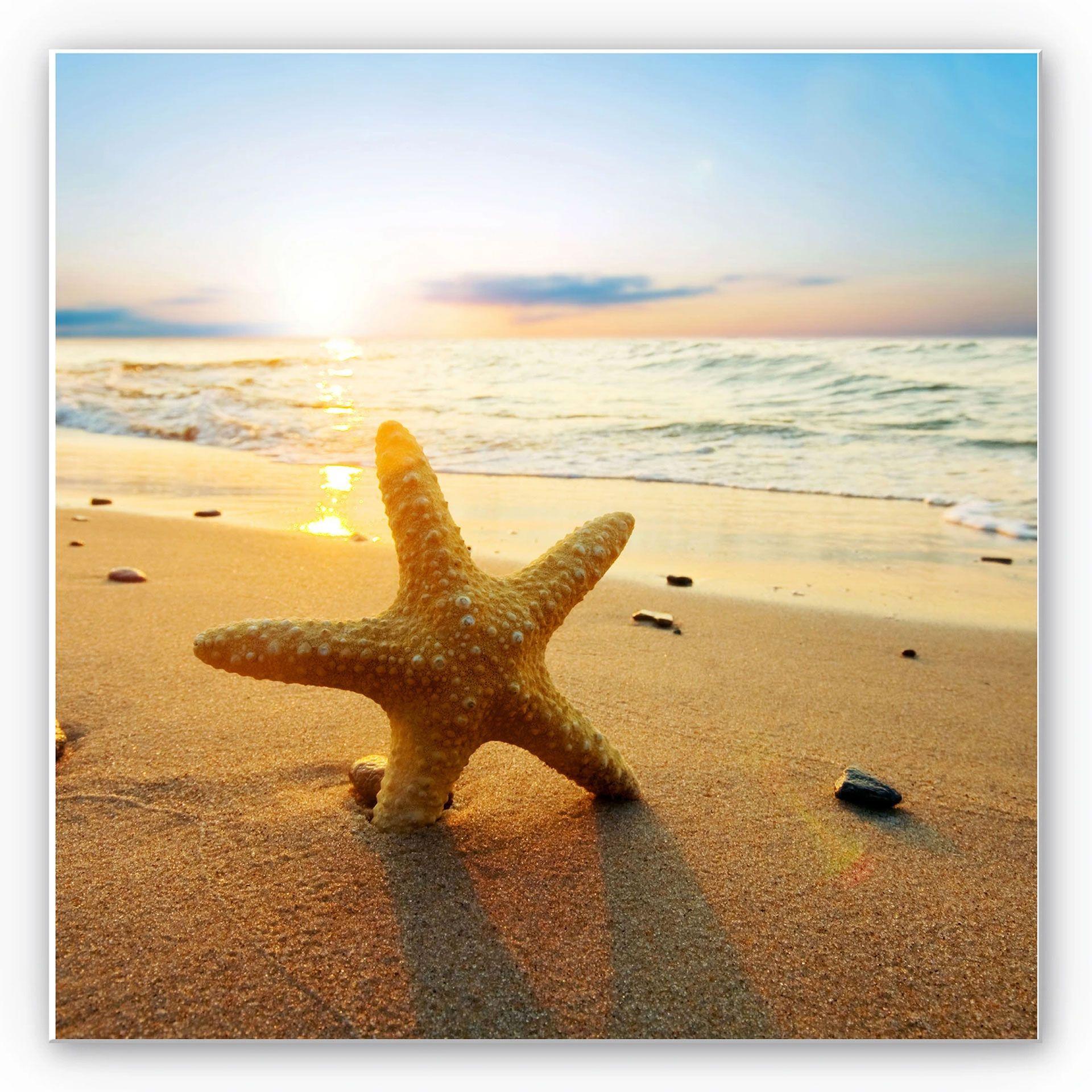 Tableau Forex - Étoile de mer dans le sable - carré