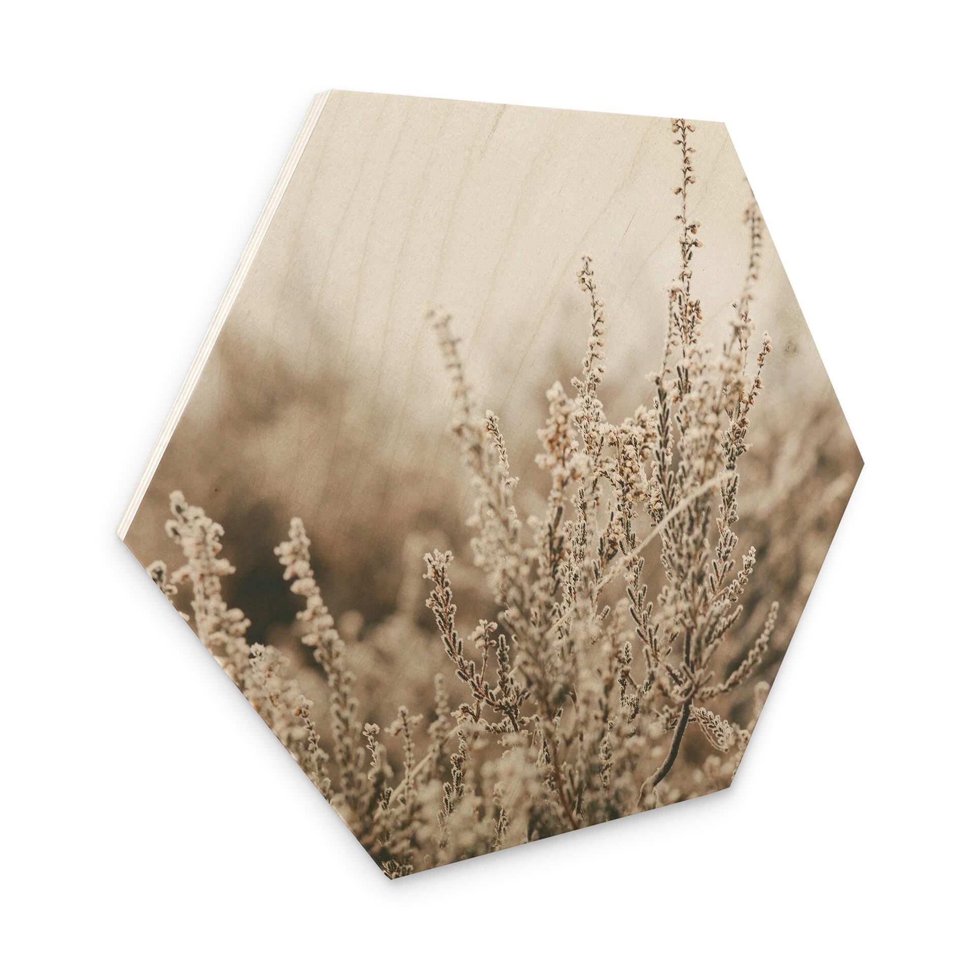 Hexagone - Bois Annie - Herbes
