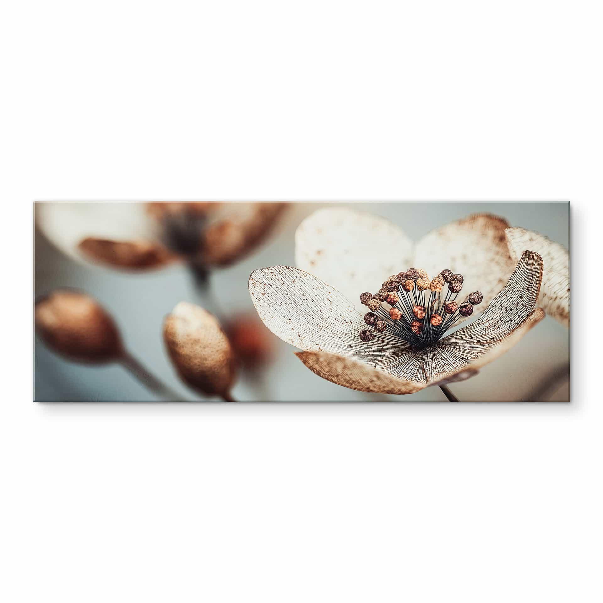 Akrylbillede Boho tørret blomst makro - Treechild - Panorama