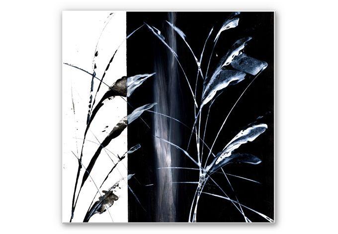 Tableau Forex - Niksic - Intemporel