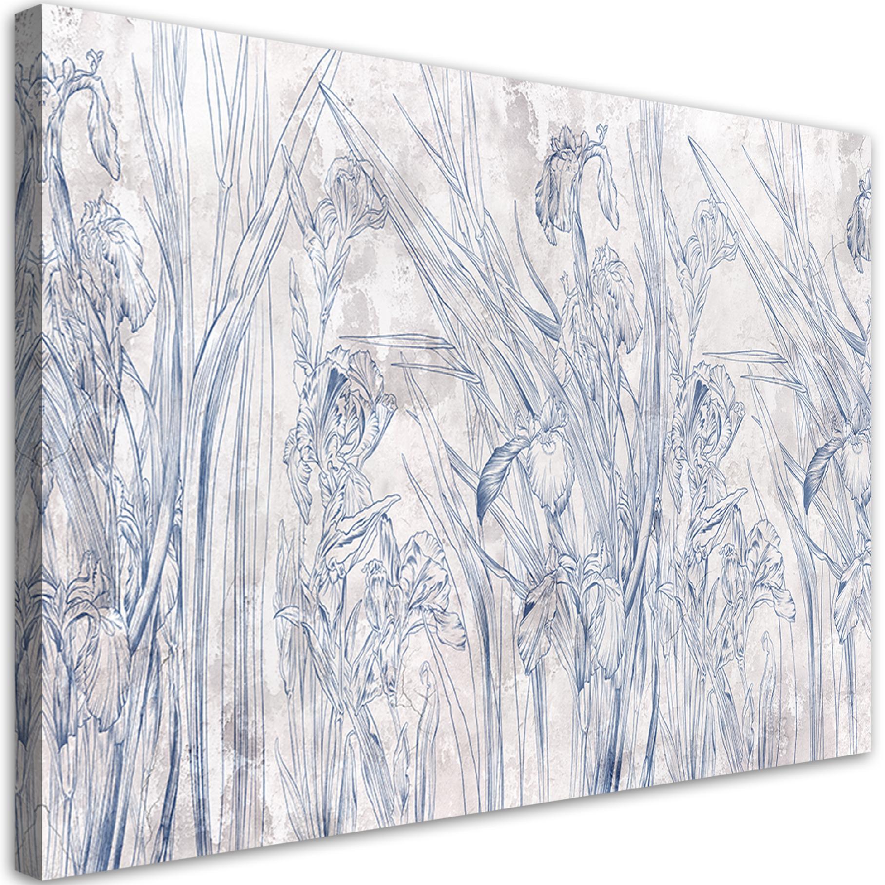 Canvasbillede, Iris blomst kontur blå