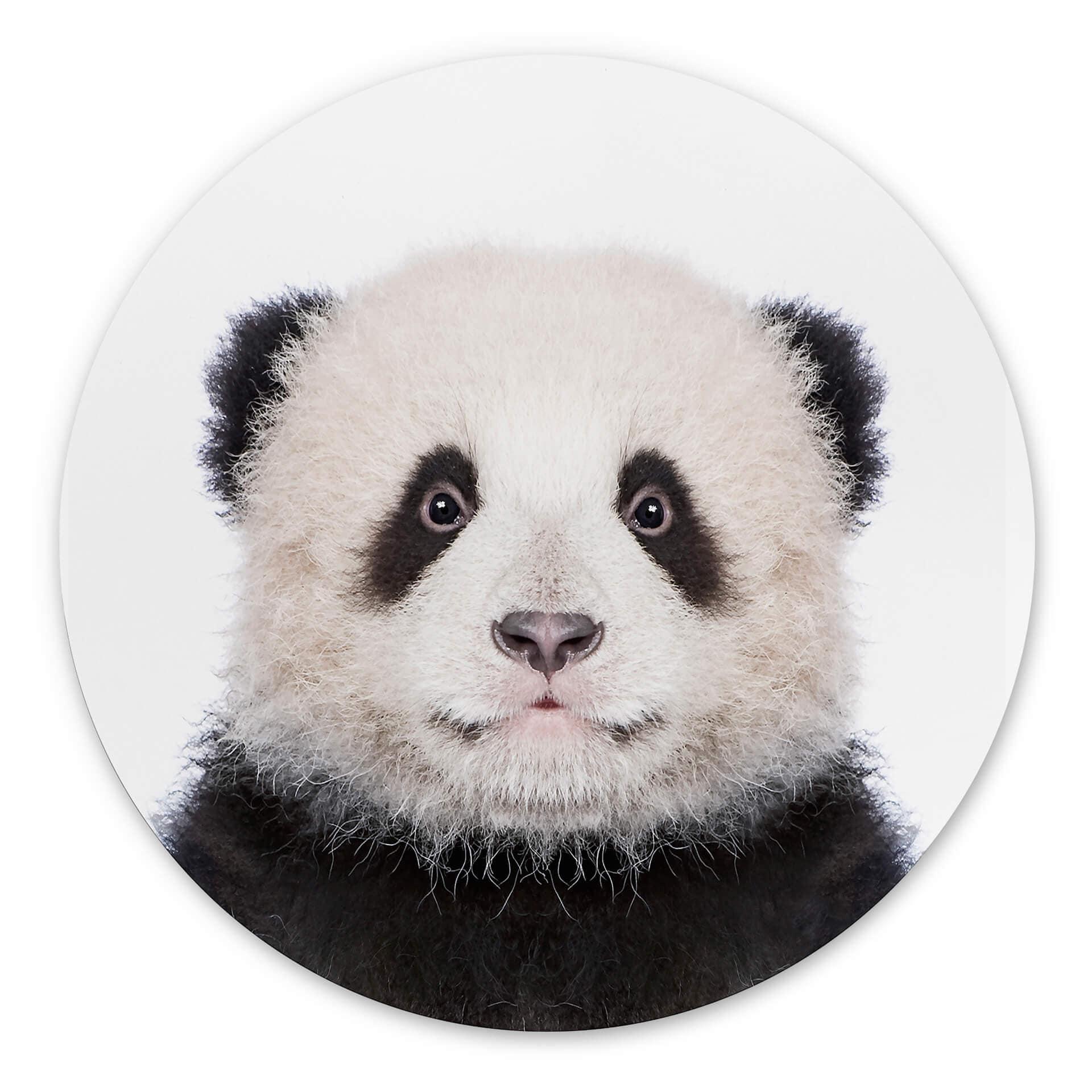 Tableau sur alu-Dibond rond Sisi & Seb - Baby Panda