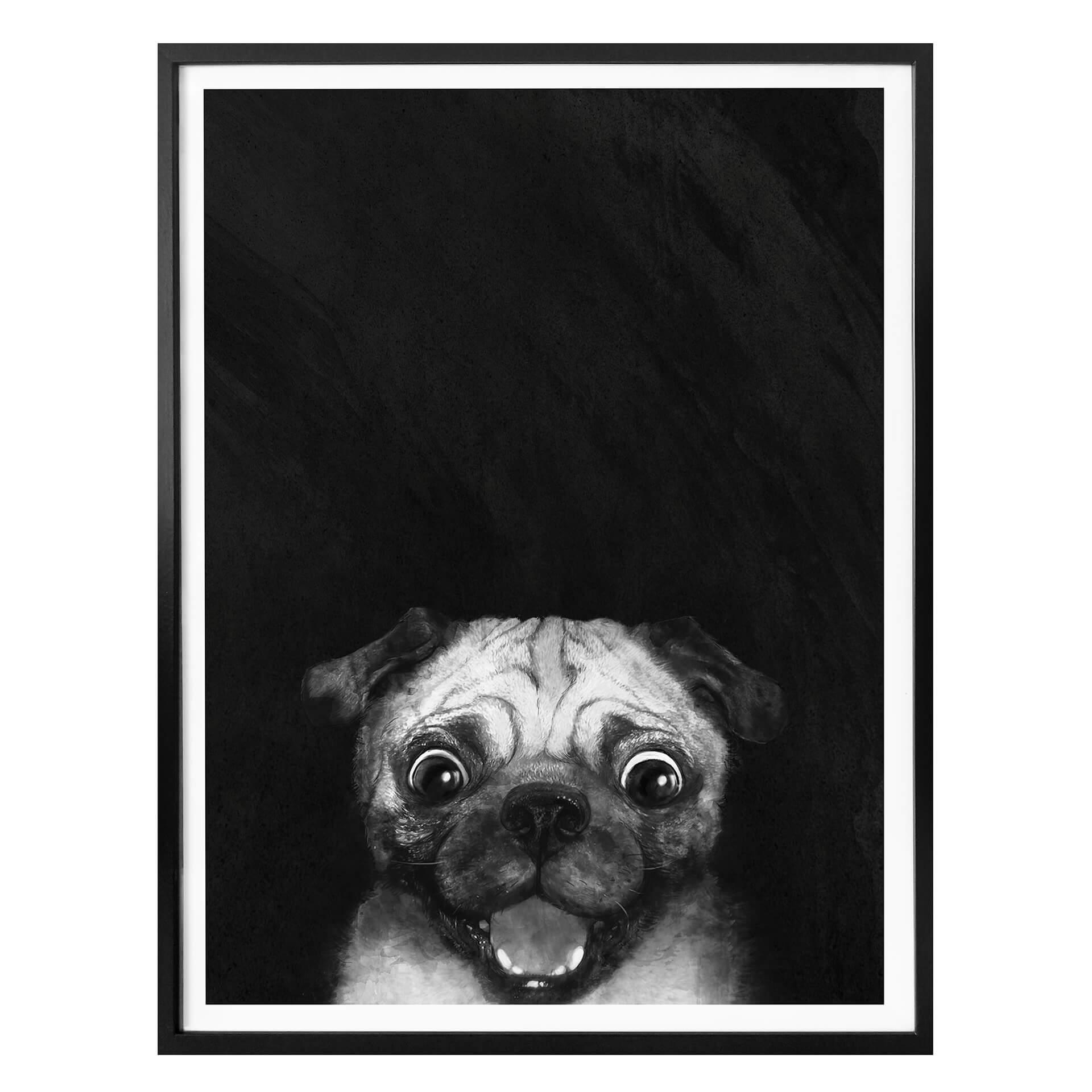 Póster Graves - Snuggle Pug