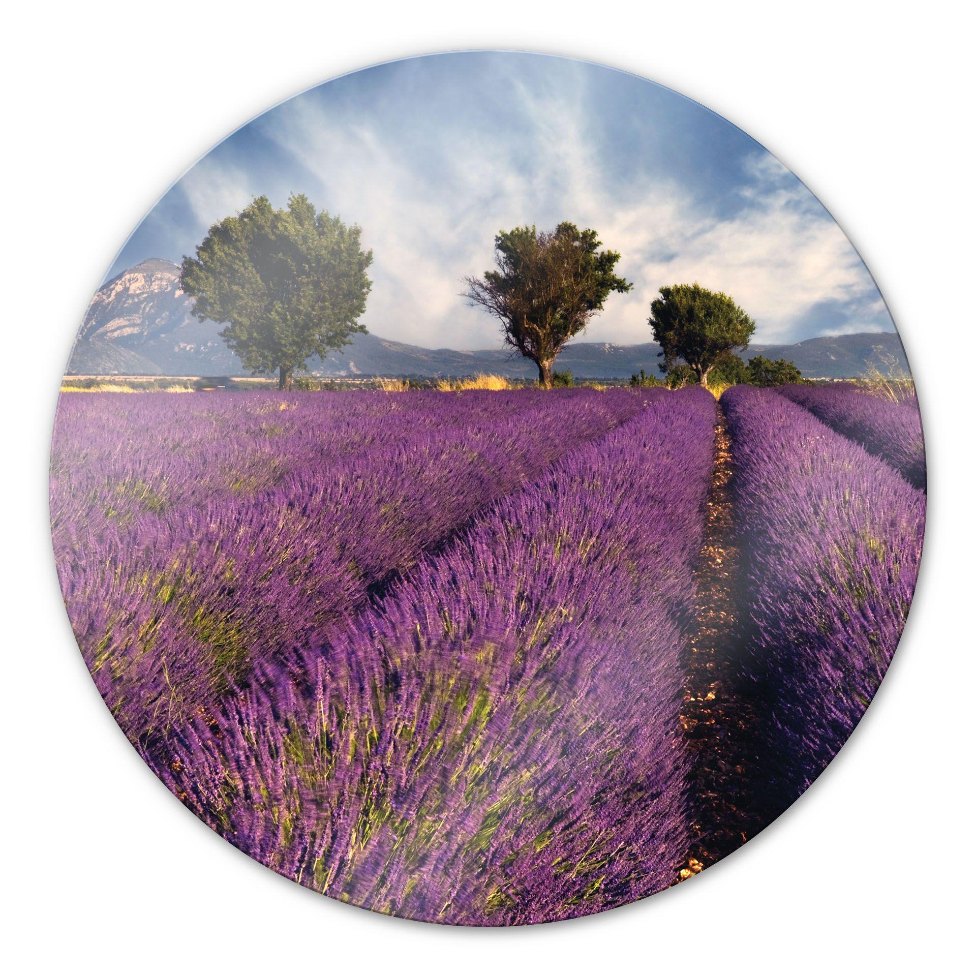 Tableau en verre - Champ de Lavande - rond