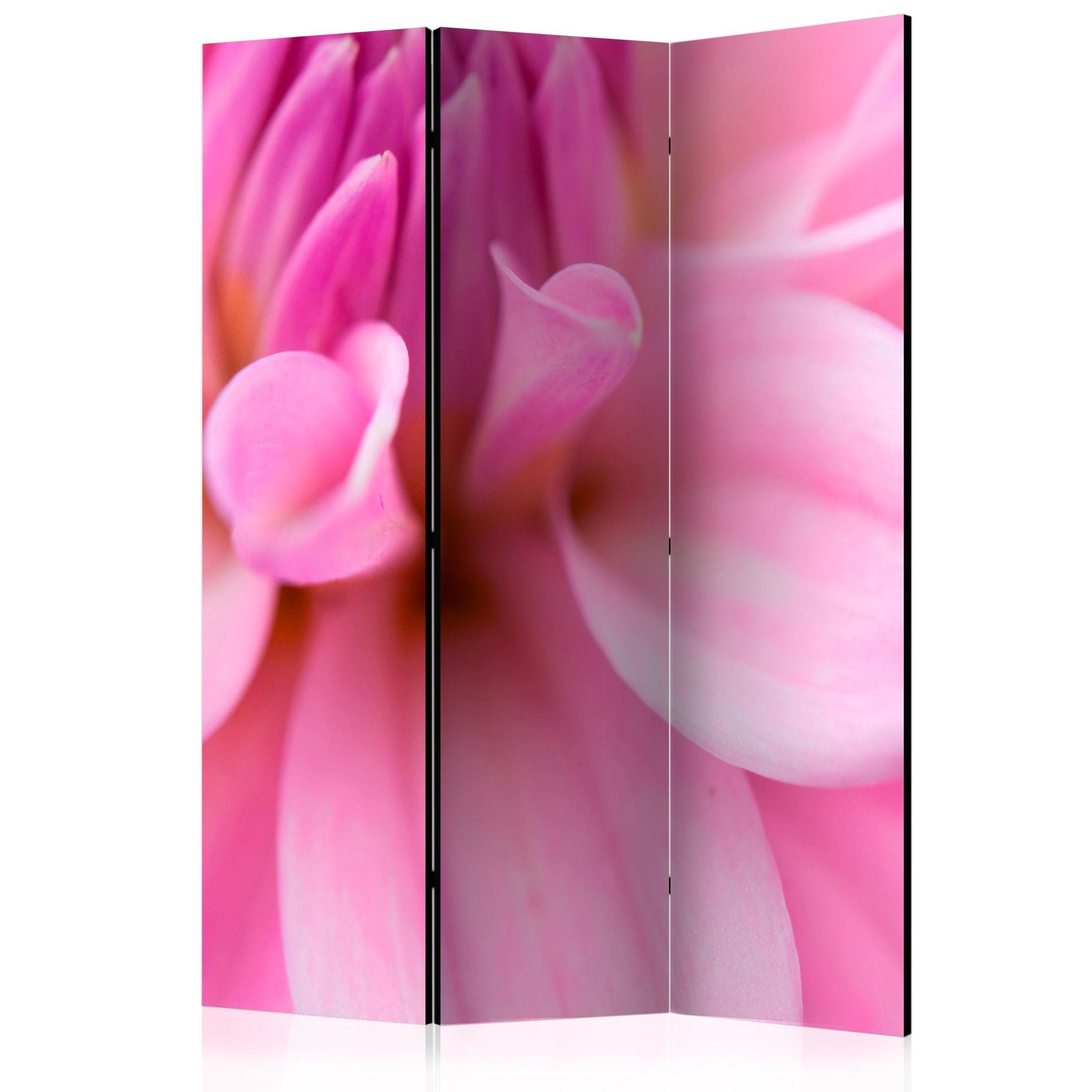 Rumdeler til skærm - Kronblade - Dahlia, 3-delt