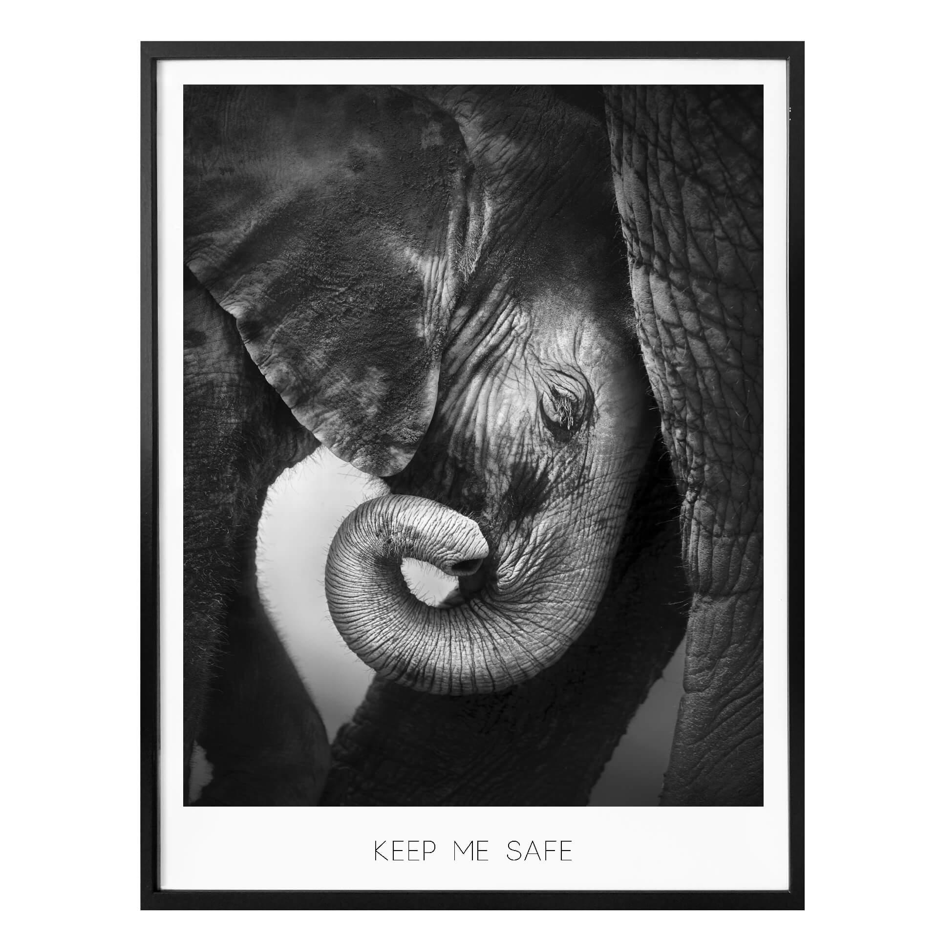 Plakat - Elefantbaby - Keep me safe