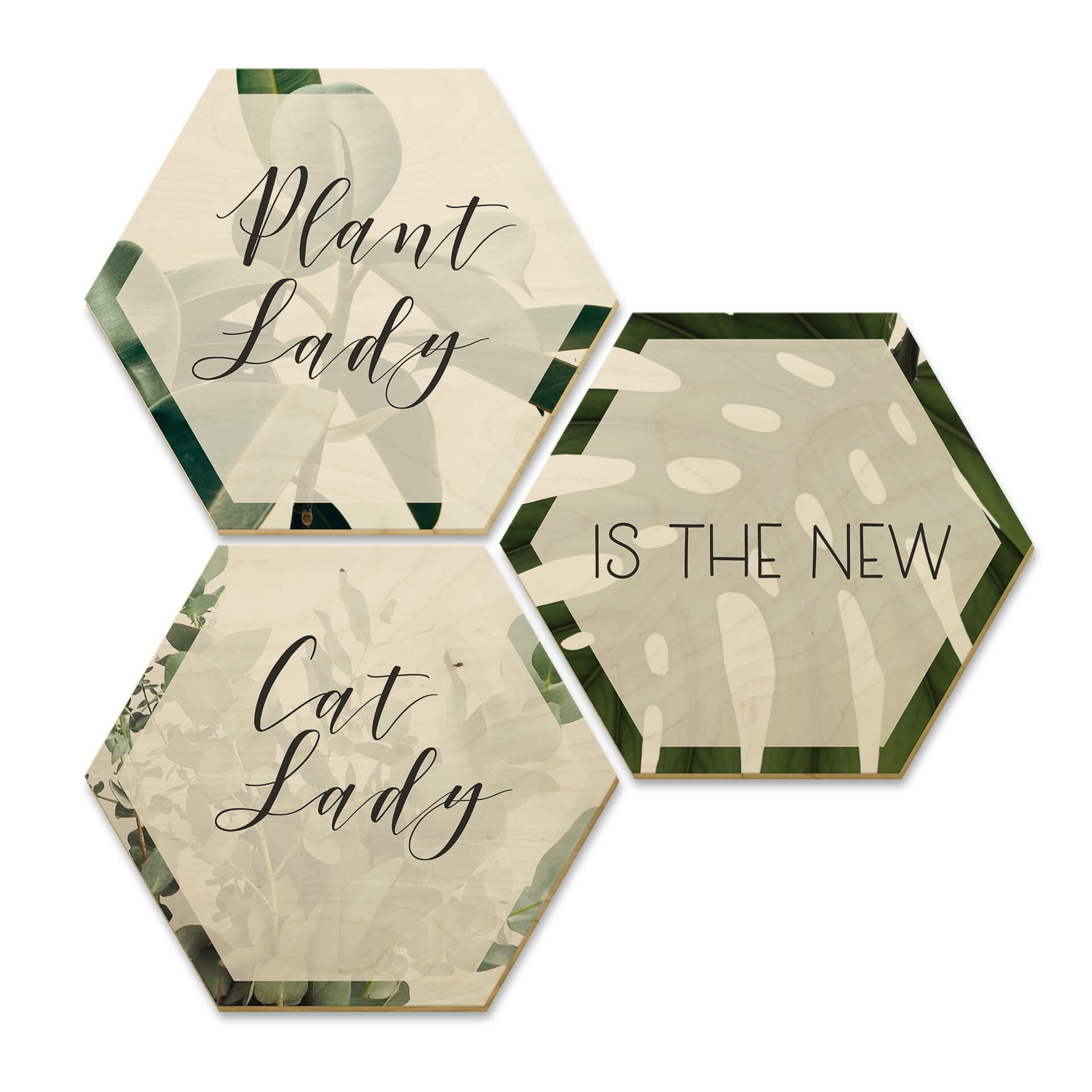 Hexagone - Bois placage de bouleau - Plantlady is the new Catlady (Set de 3)