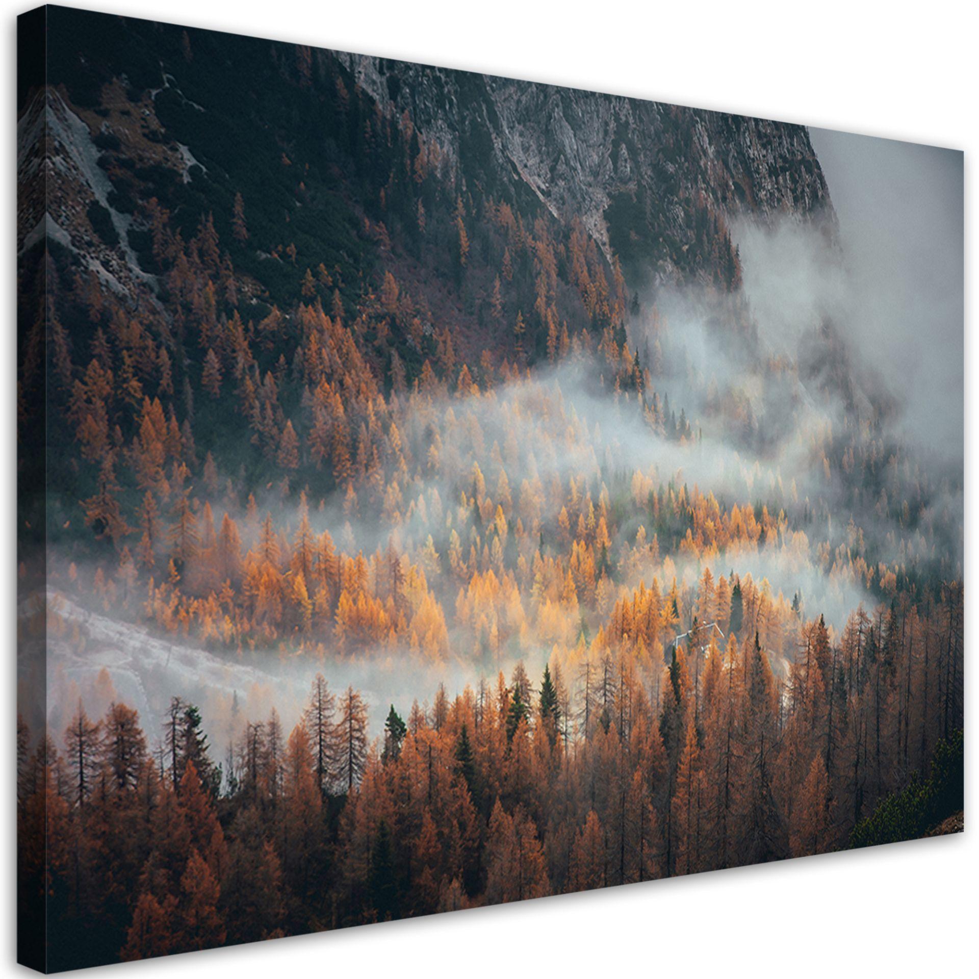 Canvasbillede, Skov i tåge