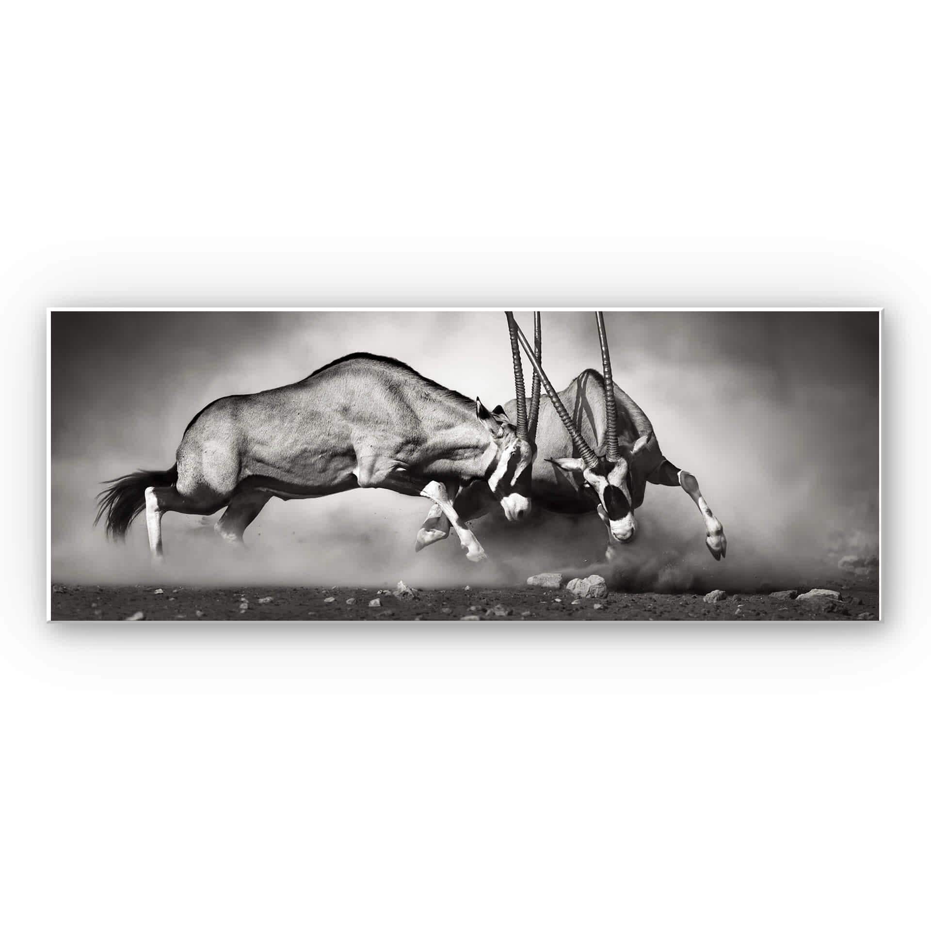 Tableau Forex - Le duel - Panorama