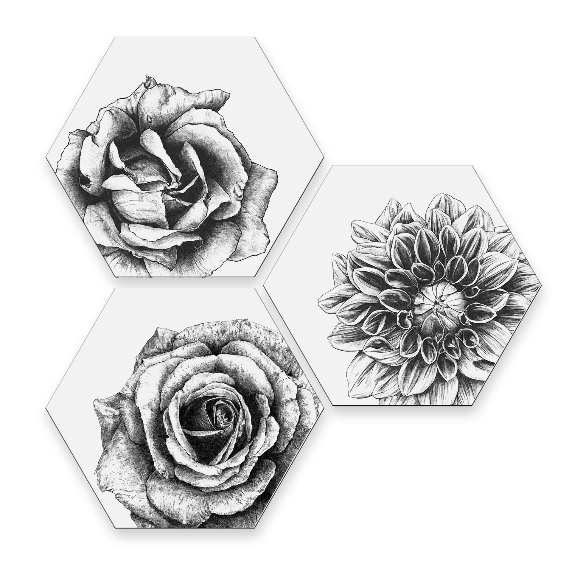 Hexagon Dibond Set - Kools - Flowers