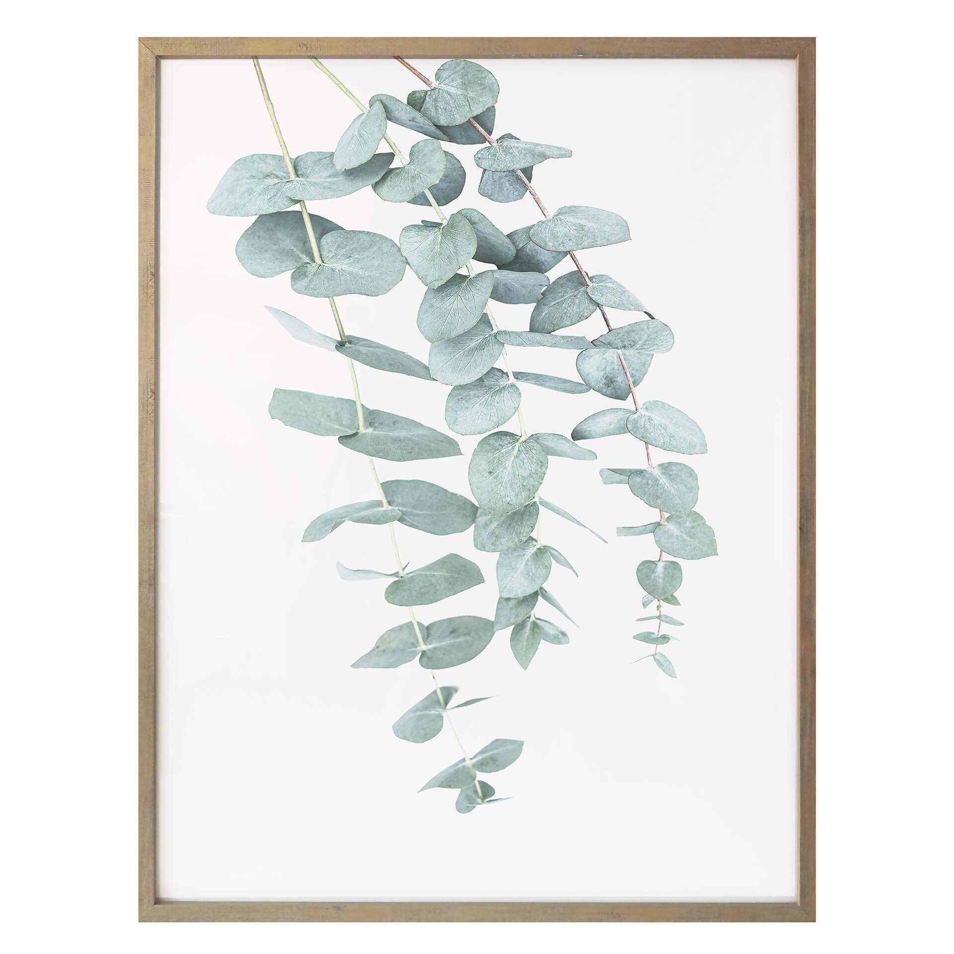 Plakat - Sisi & Seb - Eukalyptus: flere grene