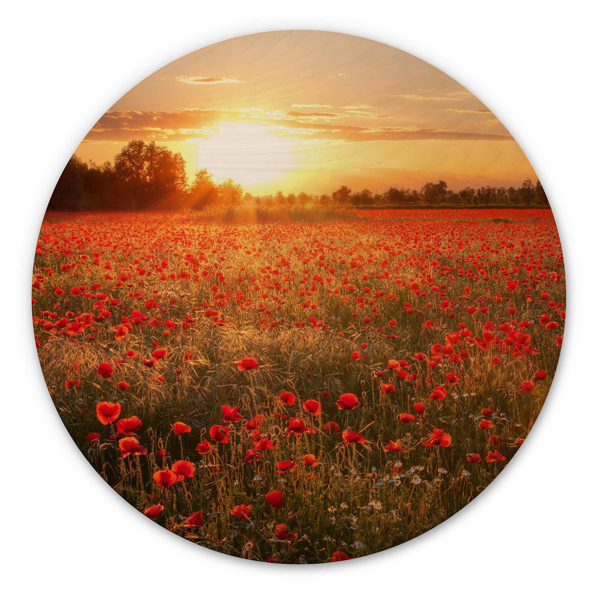 Cuadro de madera - Campo de amapolas al atardecer - Redondo