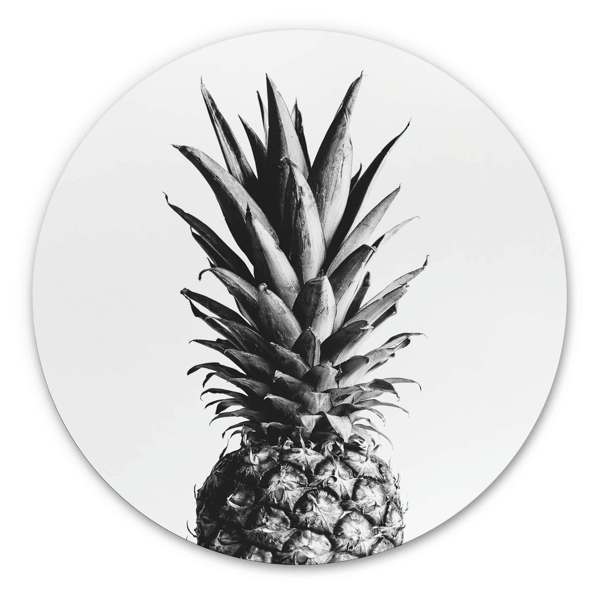 Tableau sur alu-Dibond 1X Studio - Ananas - Rond