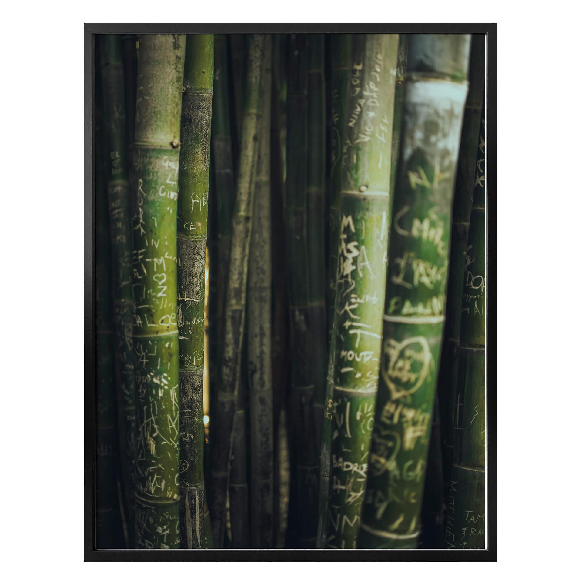 Póster del bambú verde