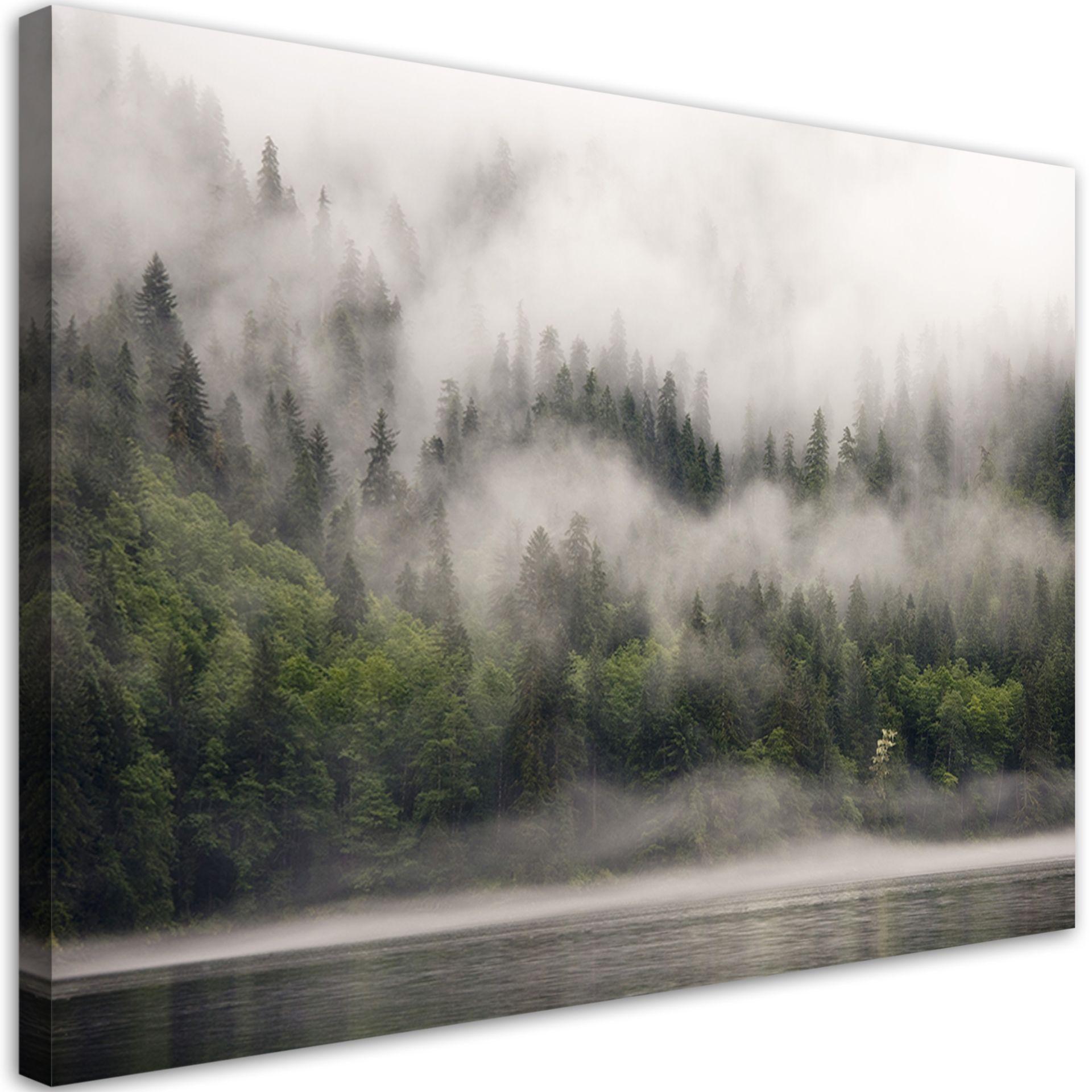 Canvasbillede, Skov i tåge