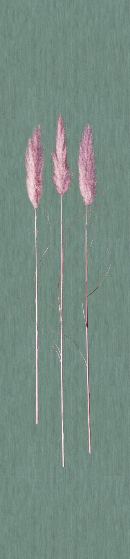 Non-woven tapet, non-woven tapet Naturlig Opulens Grå Grafisk 3,30 x 0,70 cm
