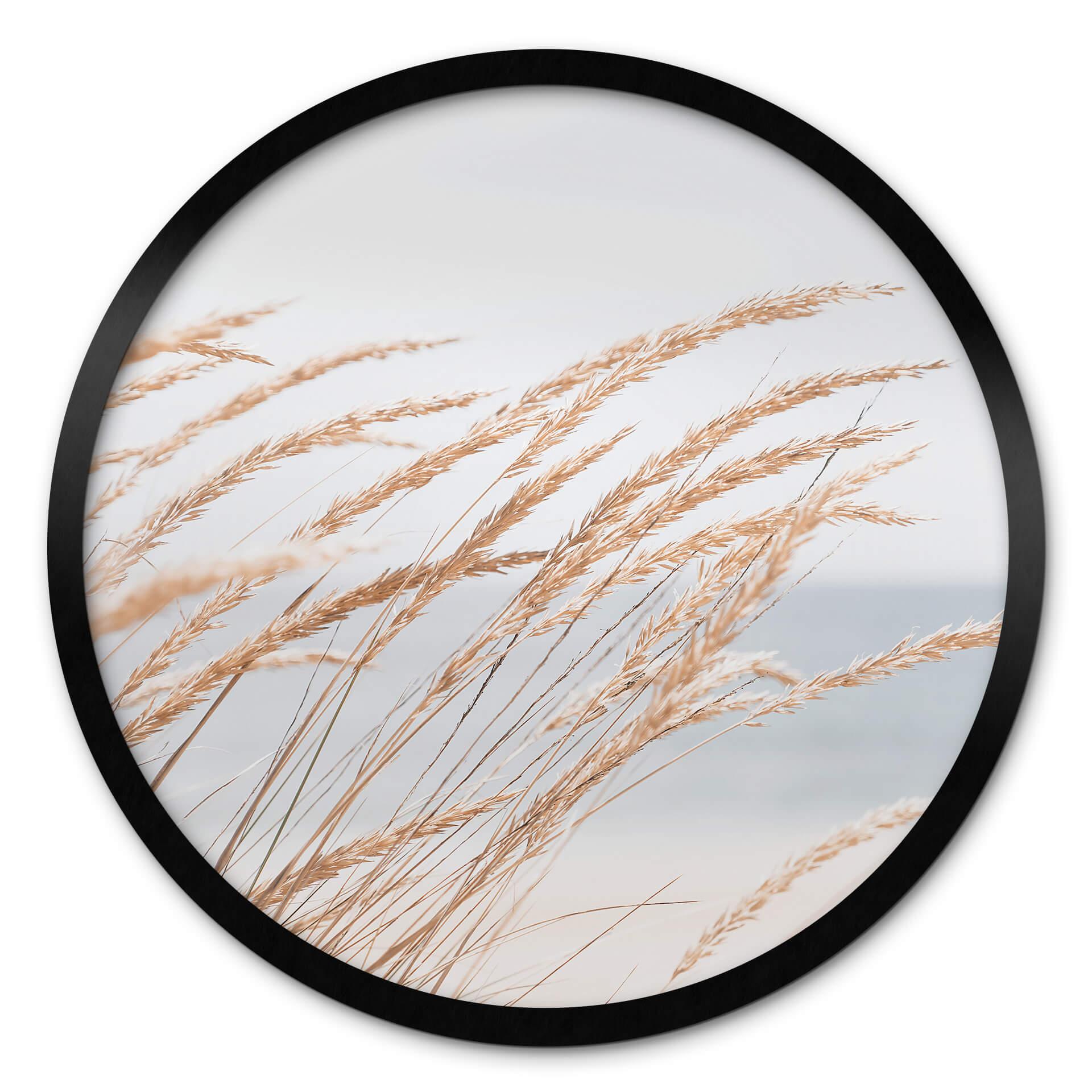 Plakat Dune Grass