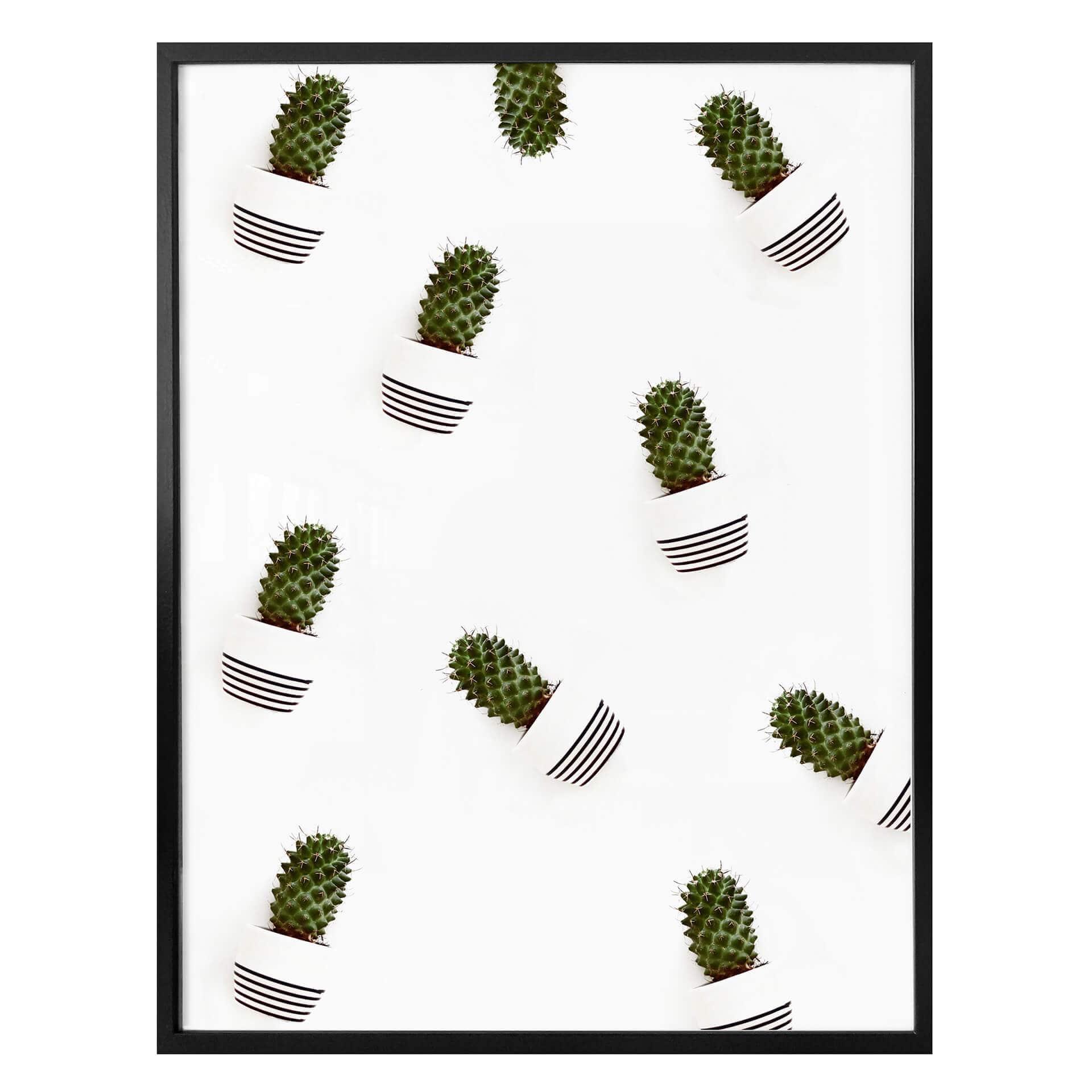 Póster Mi pequeño cactus - Cactus