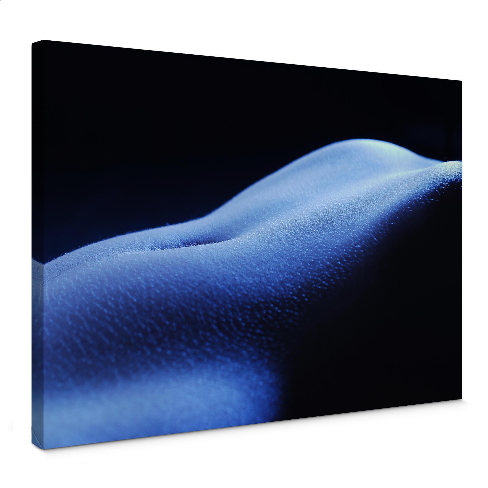 Tableau sur toile Nu Féminin 2