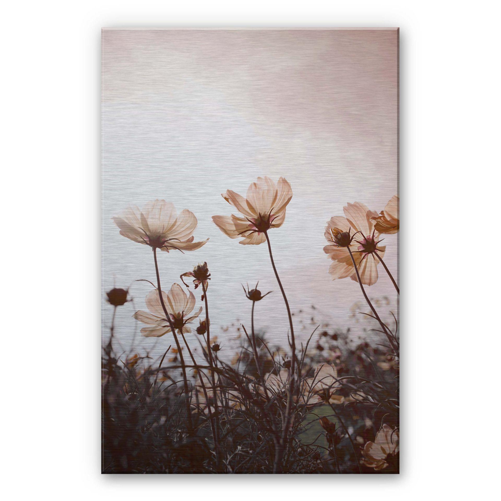 Alu-dibond zilver - Wilde Bloemen