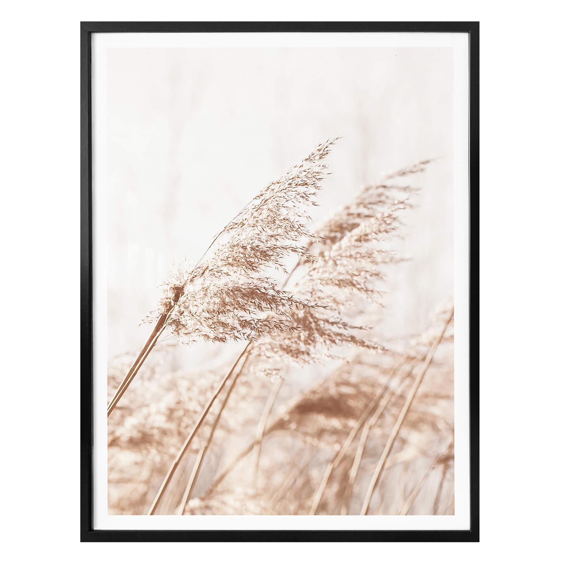 Plakat - Windy Grass