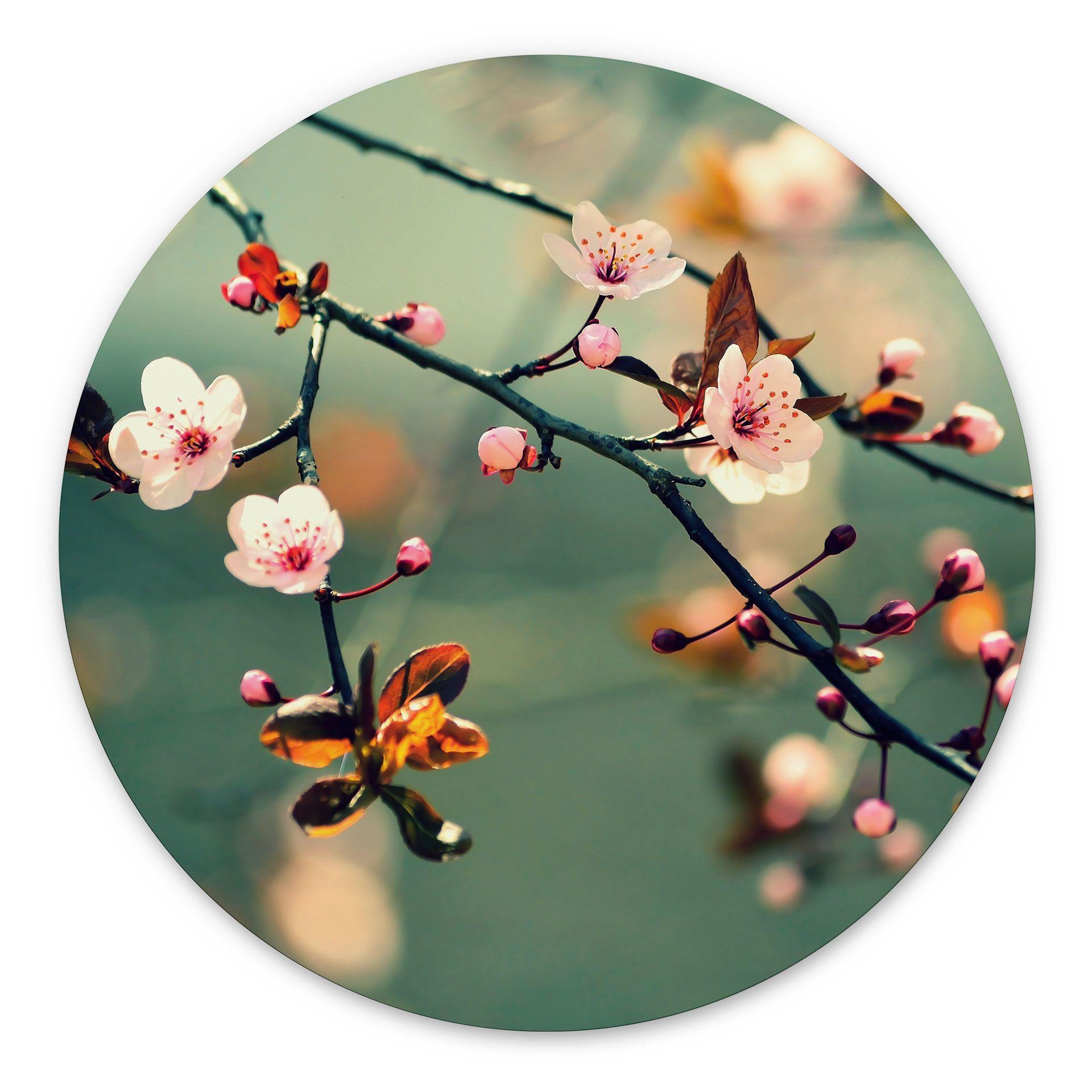 Billede Spring Awakening - rund – print på aluminium (Alu-Dibond)