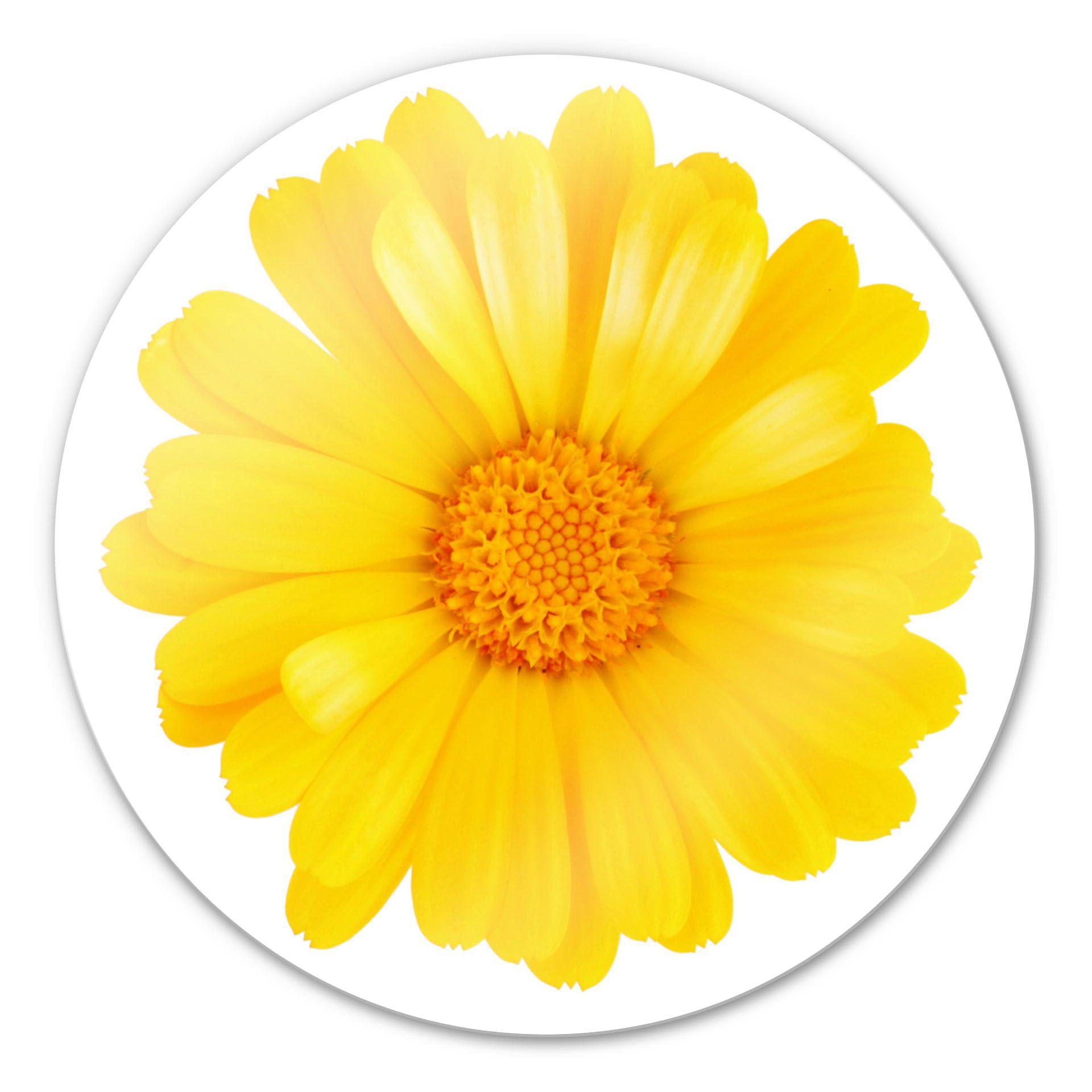 Tableau en verre - Gerbera jaune - rond