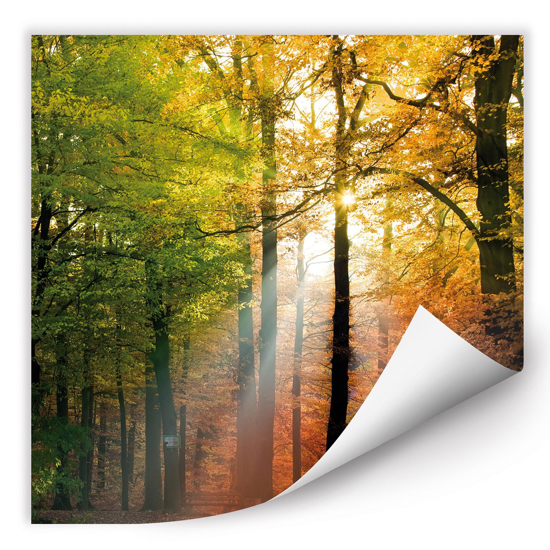 Poster autocollant - W - Un Jour d'Automne