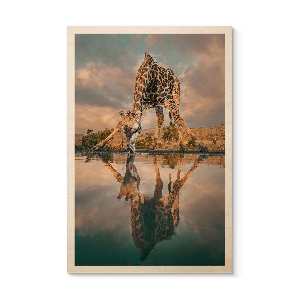 Cuadro de madera reflejo de una jirafa en la naturaleza - Amtmann