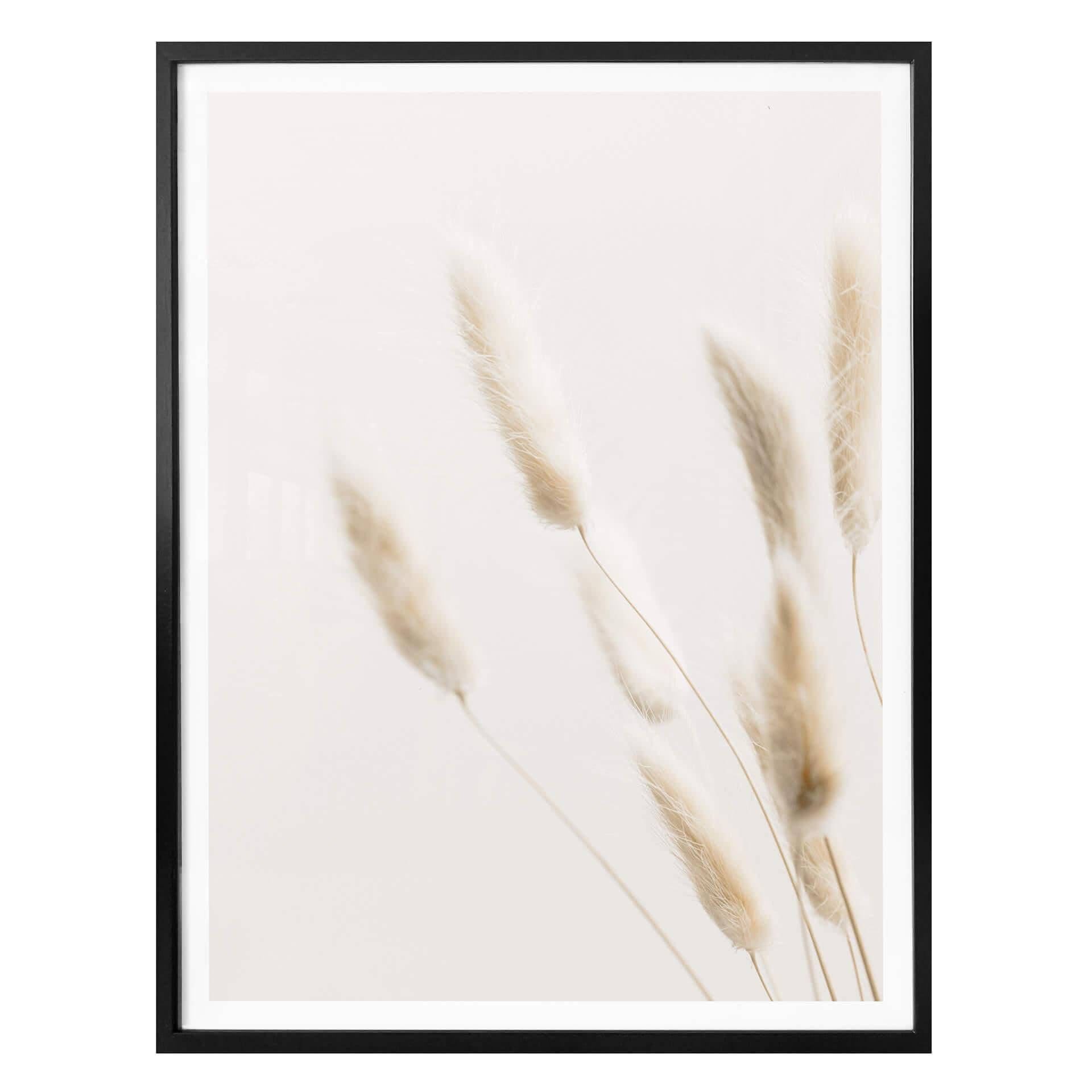 Plakat - 1X Studio - Grass