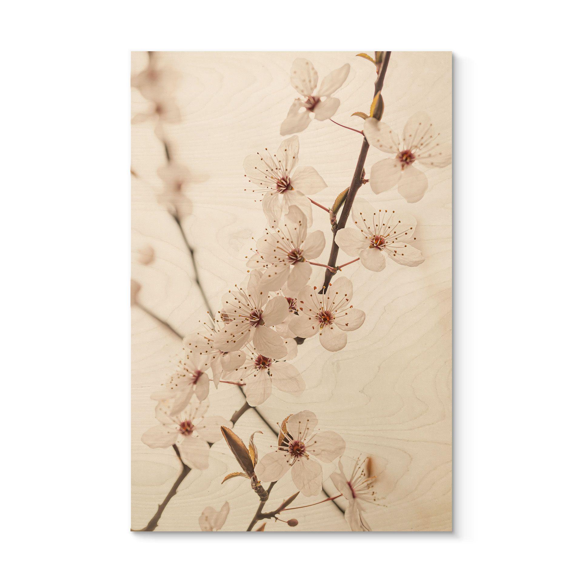 Cuadro de madera en rama con cerezos blancos en flor - Sisi & Seb