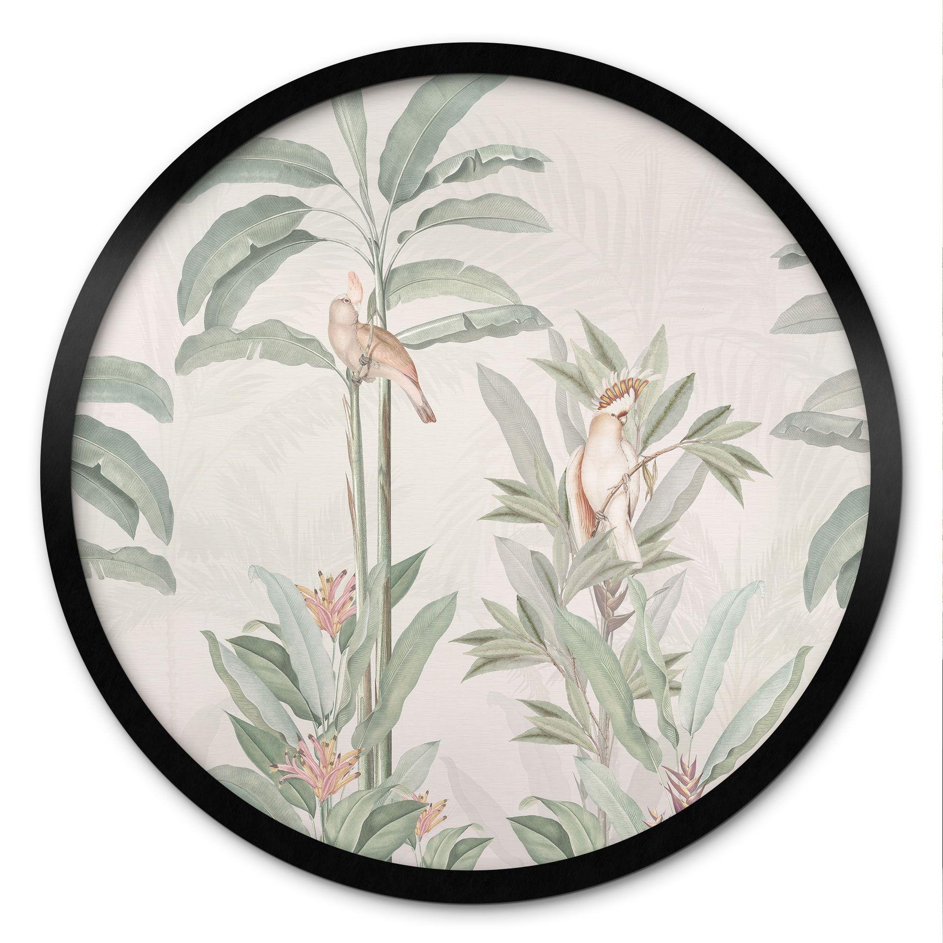 Póster Selva Tropical con Cacatúas - Decoración Floral - Redondo