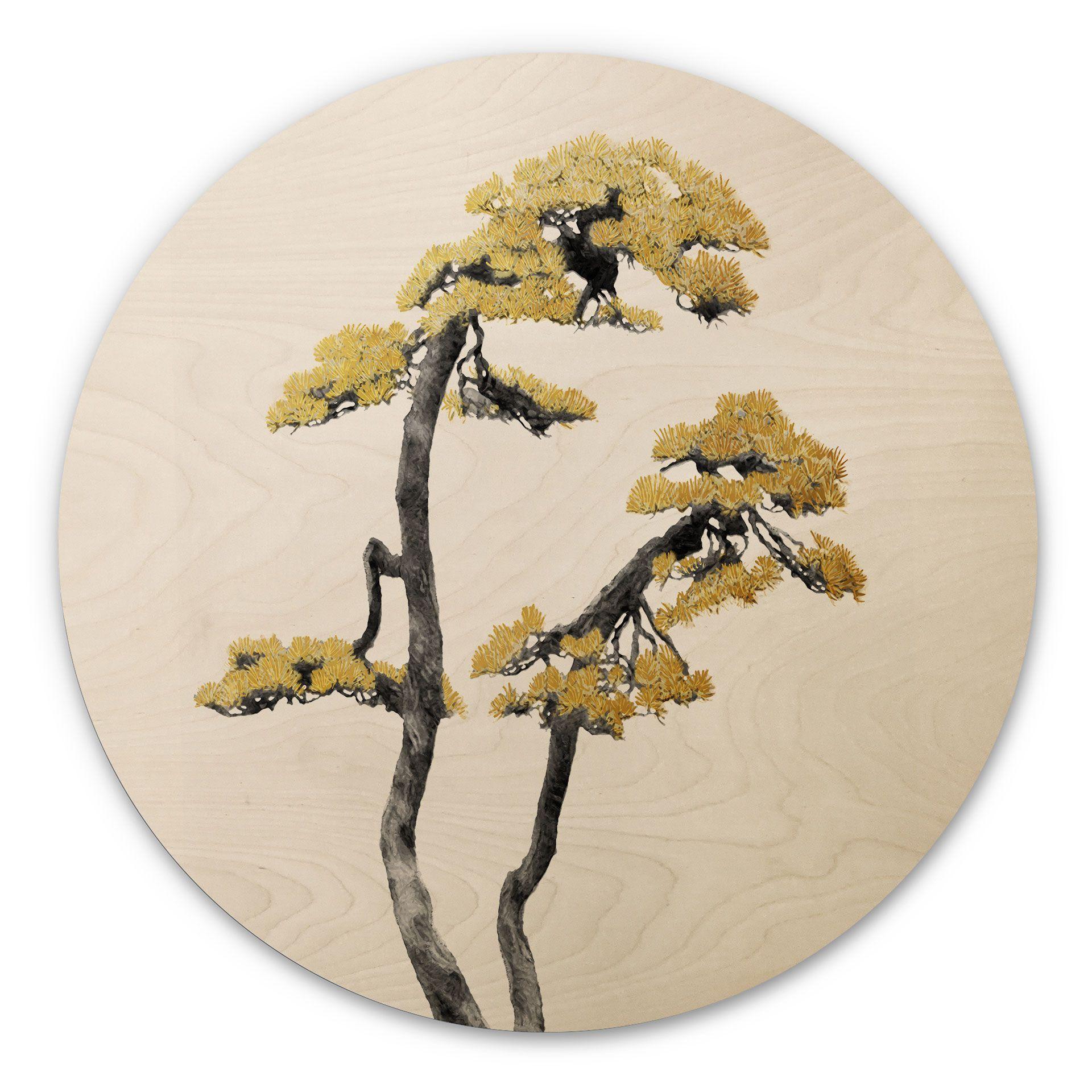 Væg cirkel træ Amini - Bonsai