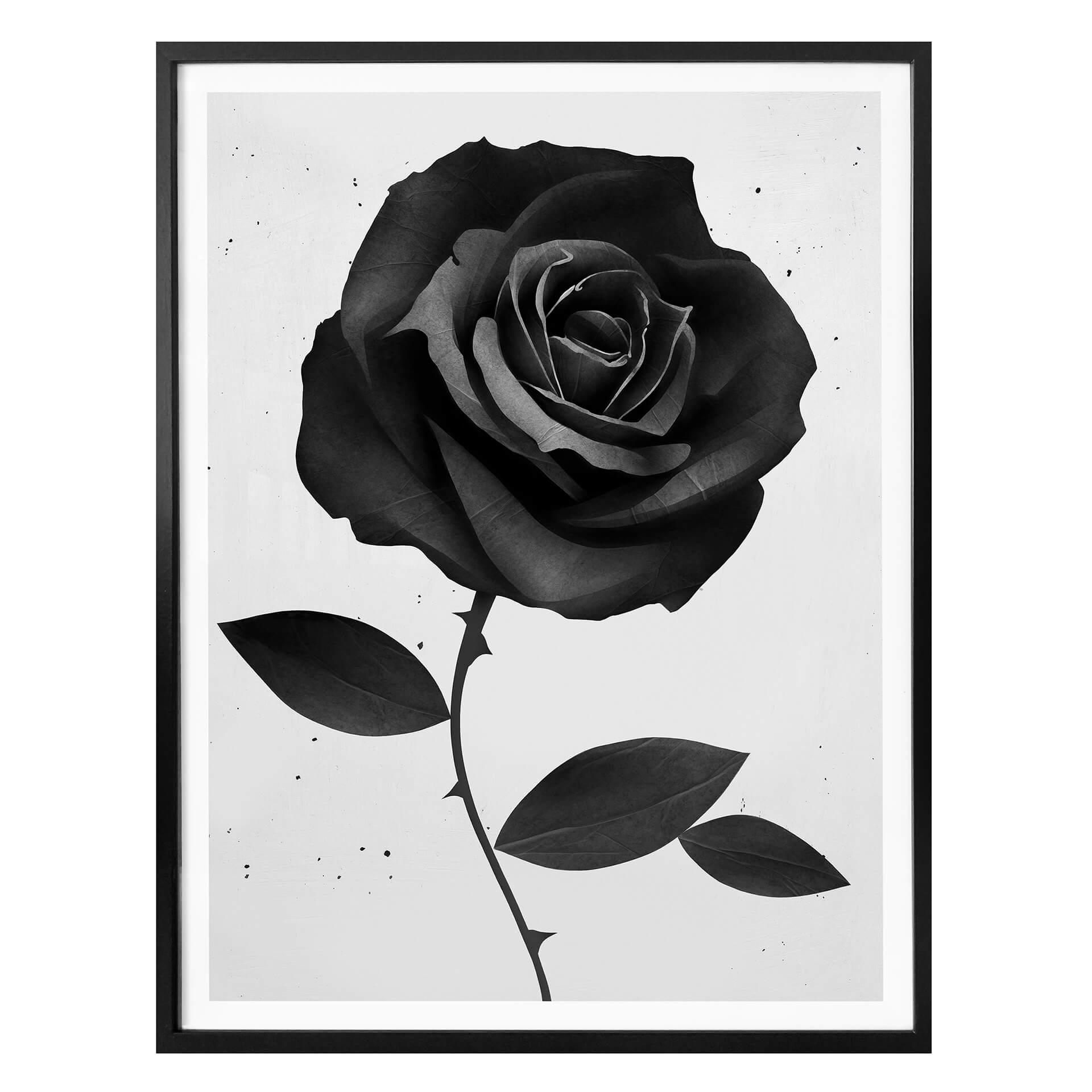 Ireland Plakat - Fabric Rose