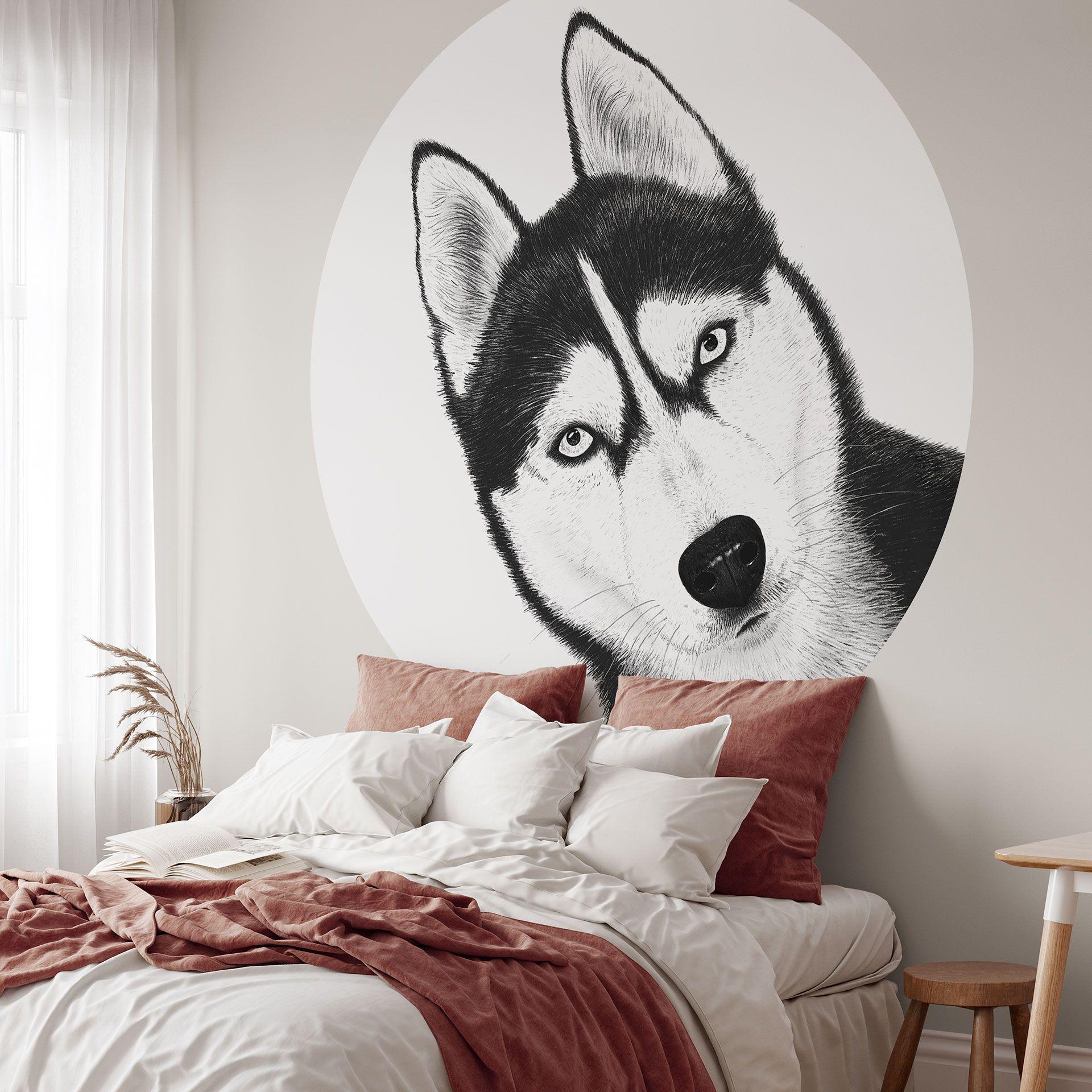 Fototapet Siberian husky - hundeportræt - Korenkova - Rundt - vliesetapet/selvklæbende non-woven tap