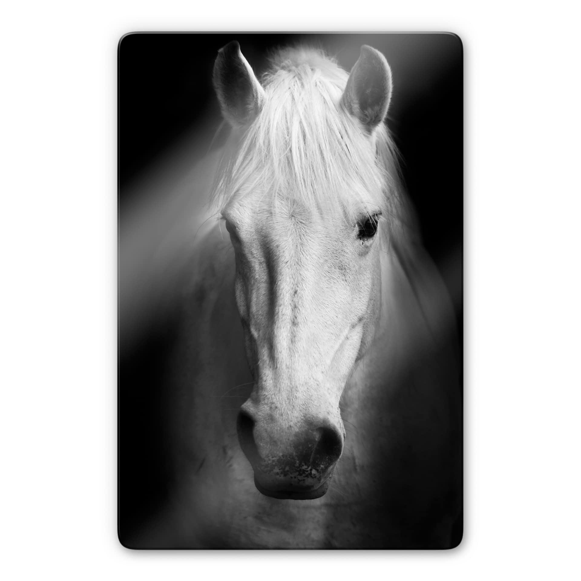 Glasbillede - Hvid Hest