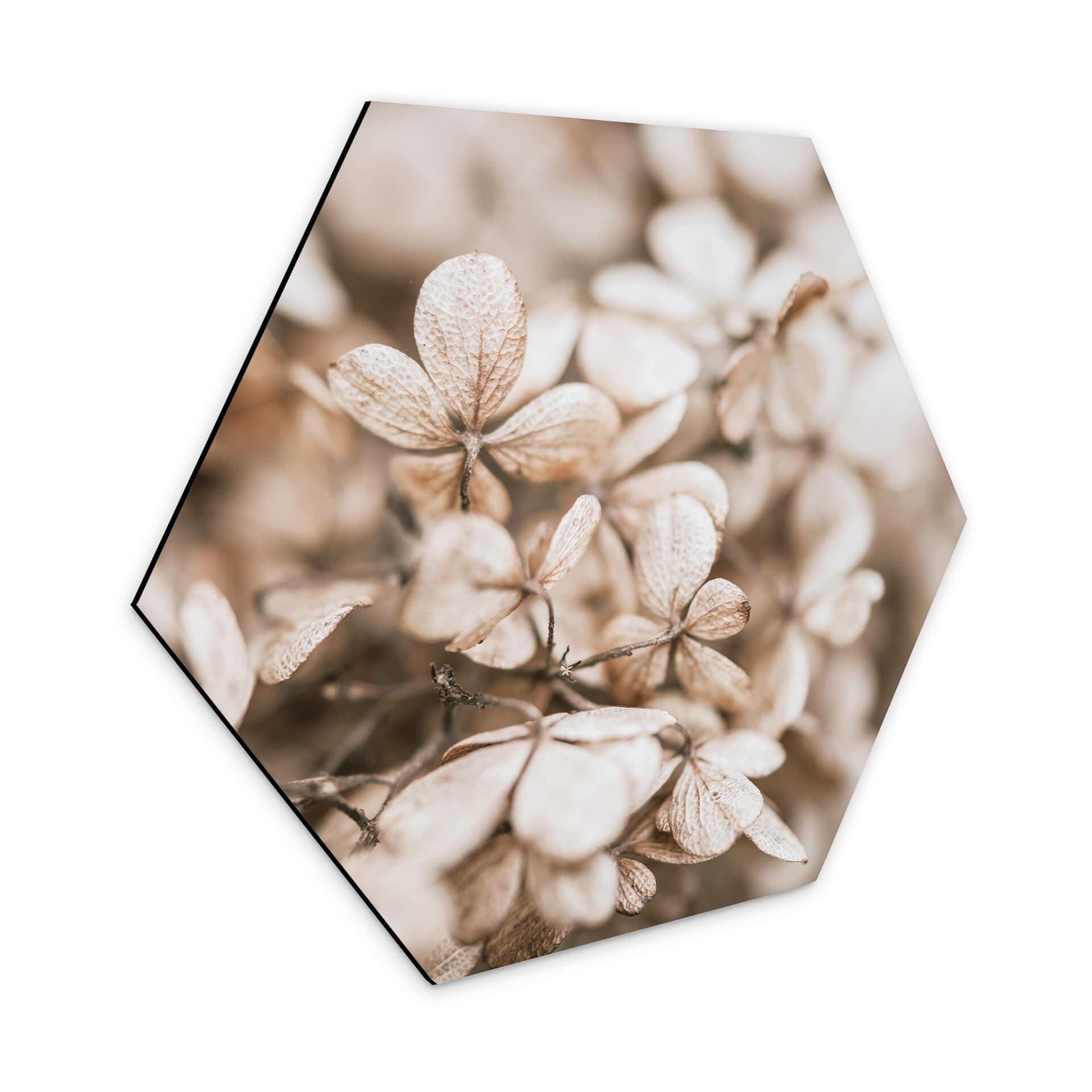 Hexagone - Alu-Dibond Annie - Fleurs en velours