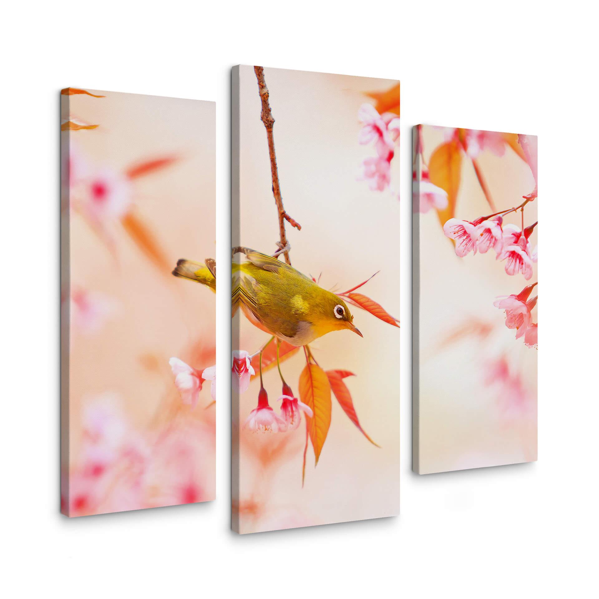 Tableau sur toile Gazouillis d'oiseaux dans les fleurs de cerisiers (3 parties)