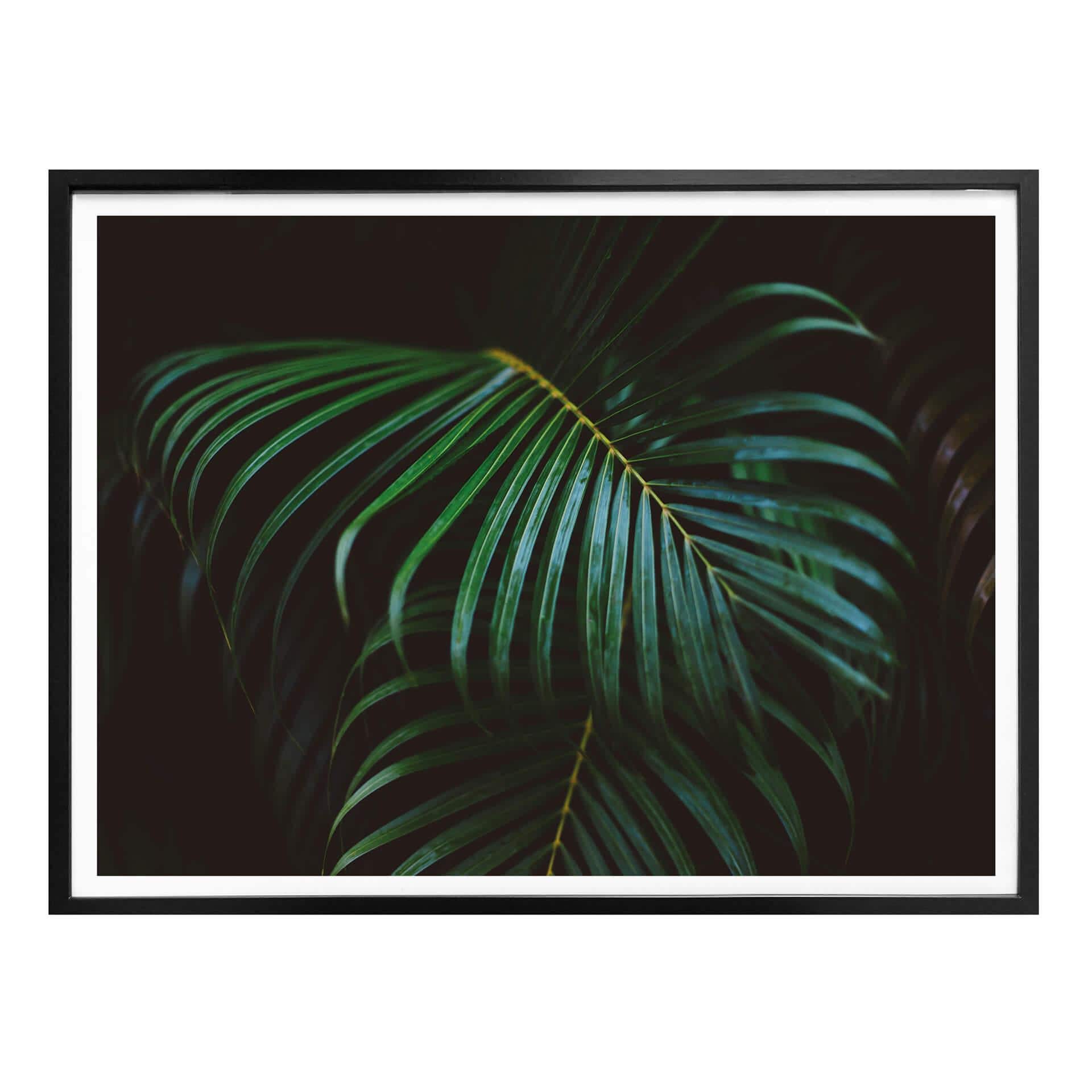 Plakat - Botanical 04