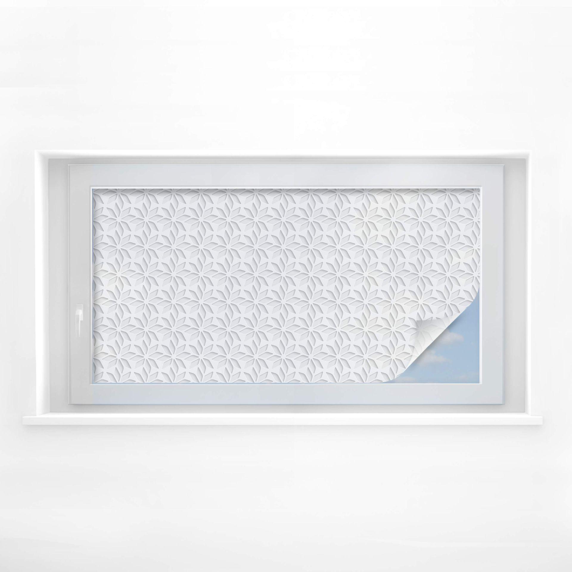 Frozen Flowers privacy film - Panorama