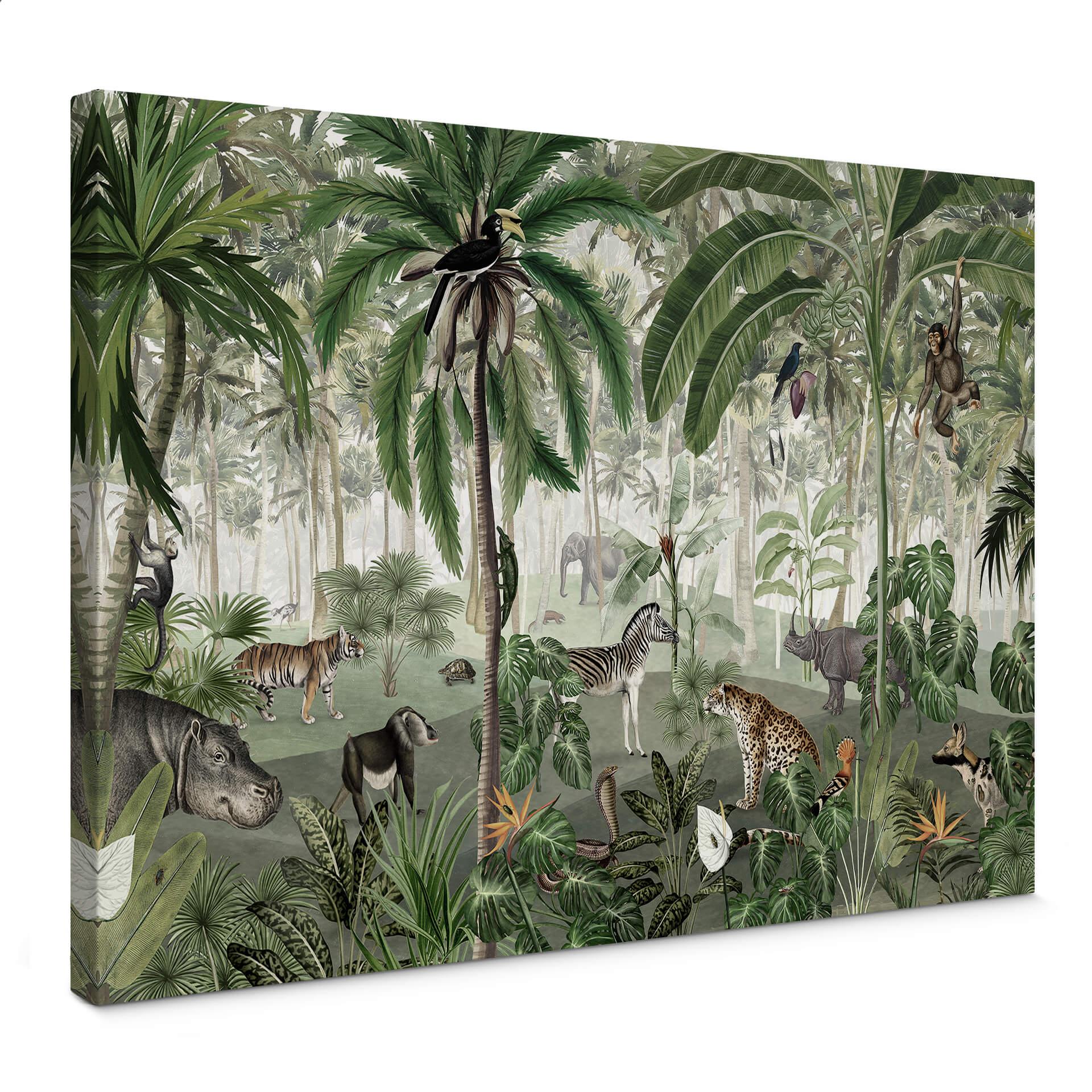 Cuadro lienzo Kikki Belle - Cuadro de búsqueda de la selva