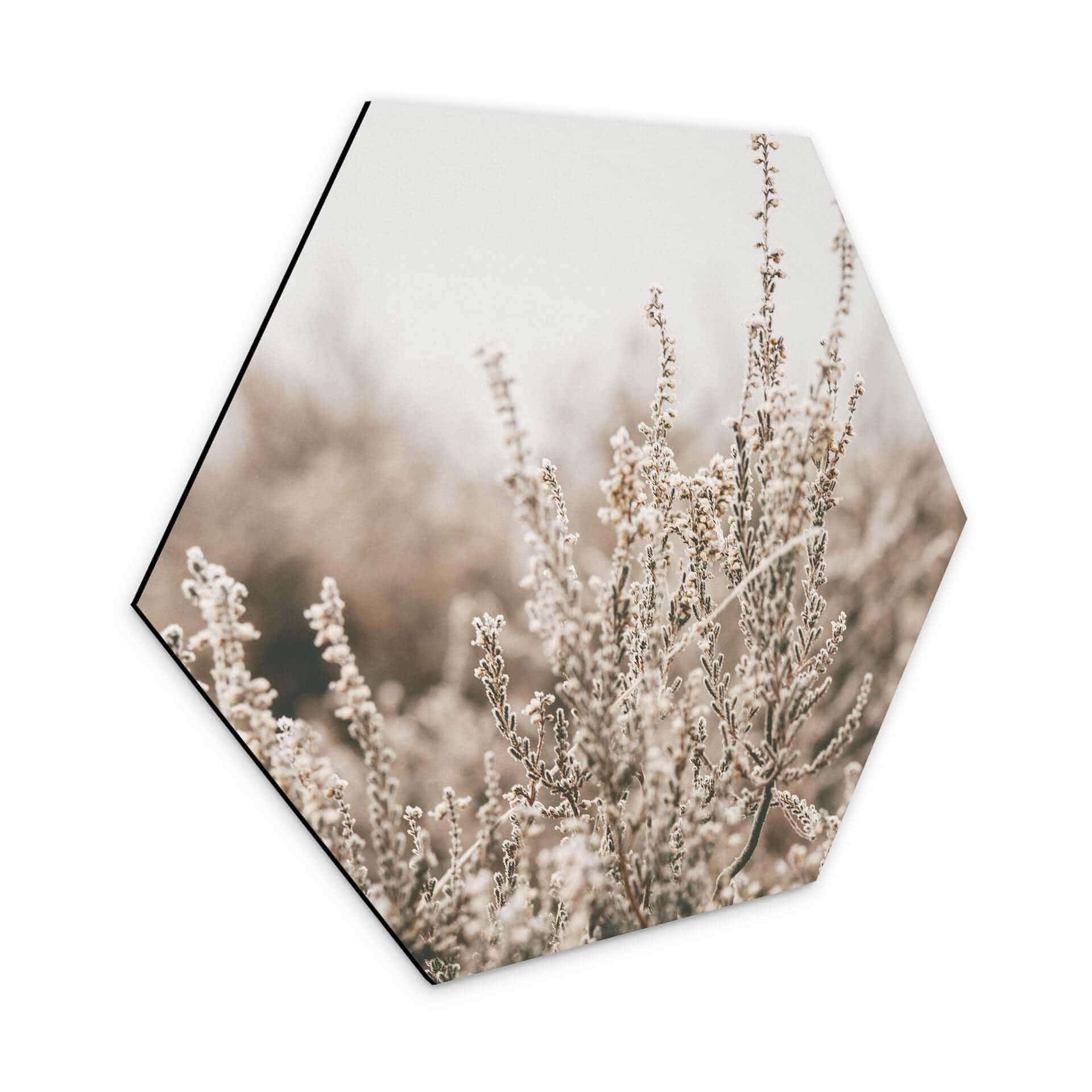 Hexagone - Alu-Dibond Annie - Herbes